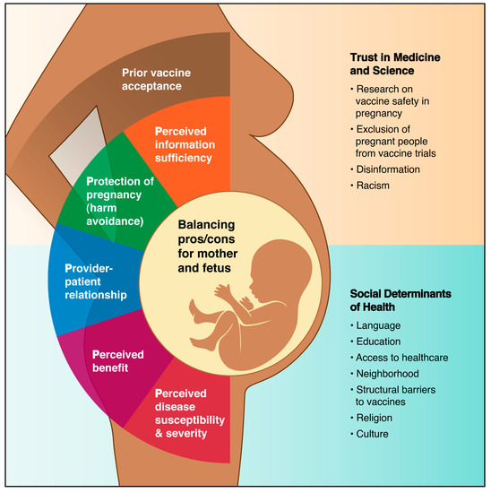 Our Statement on Monkeypox: Infection, Vaccines, and Treatment for Pregnant  or Breastfeeding Women