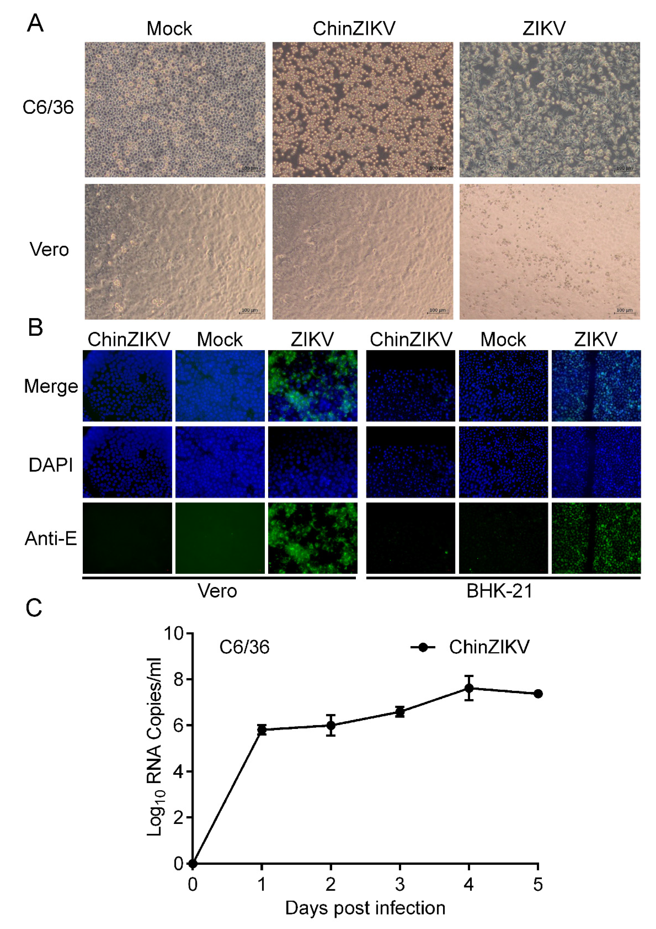 Vaccines 11 01250 g003 Vaccines 11 01250 g003