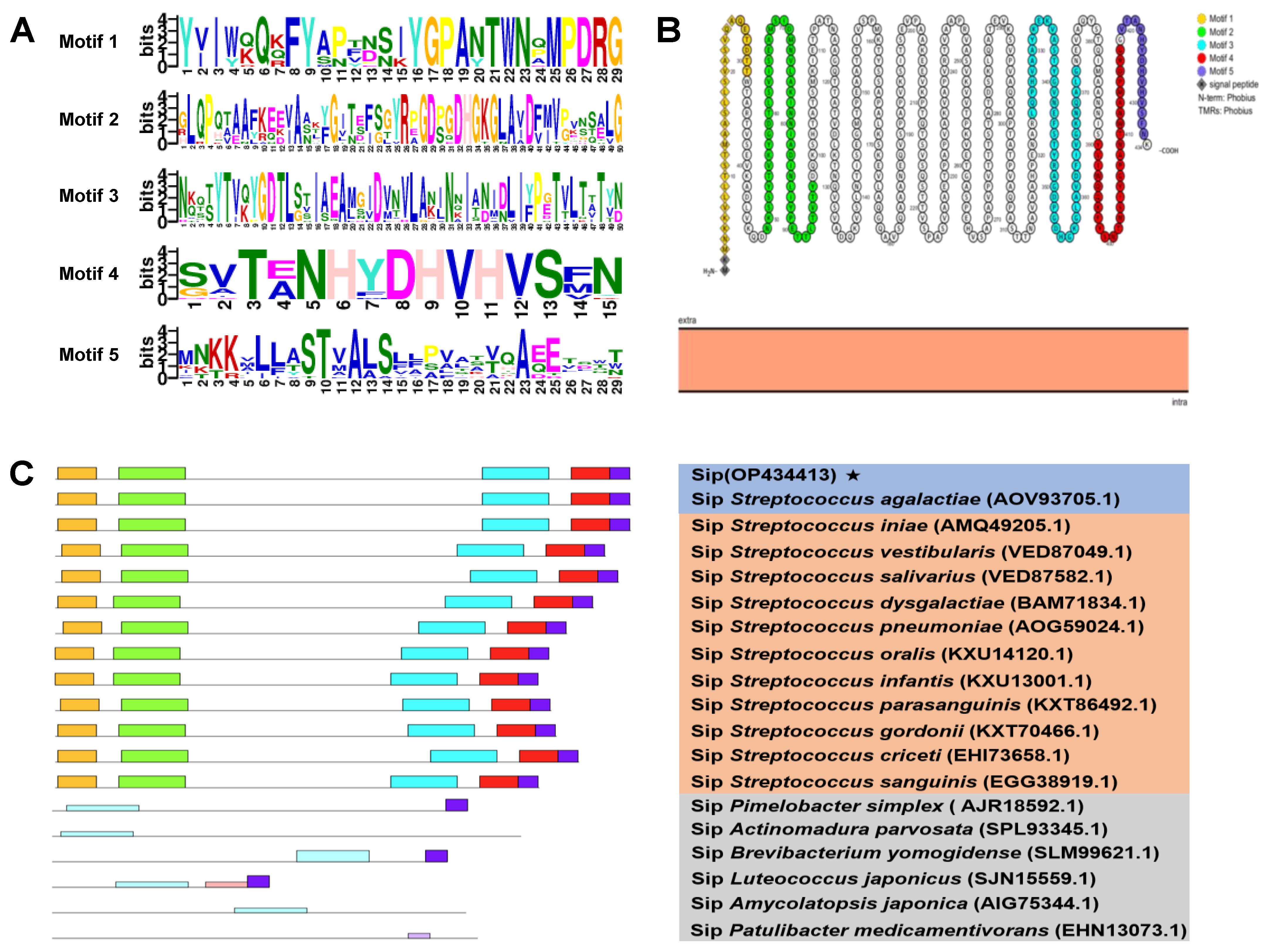 Vaccines 11 01262 g002 Vaccines 11 01262 g002