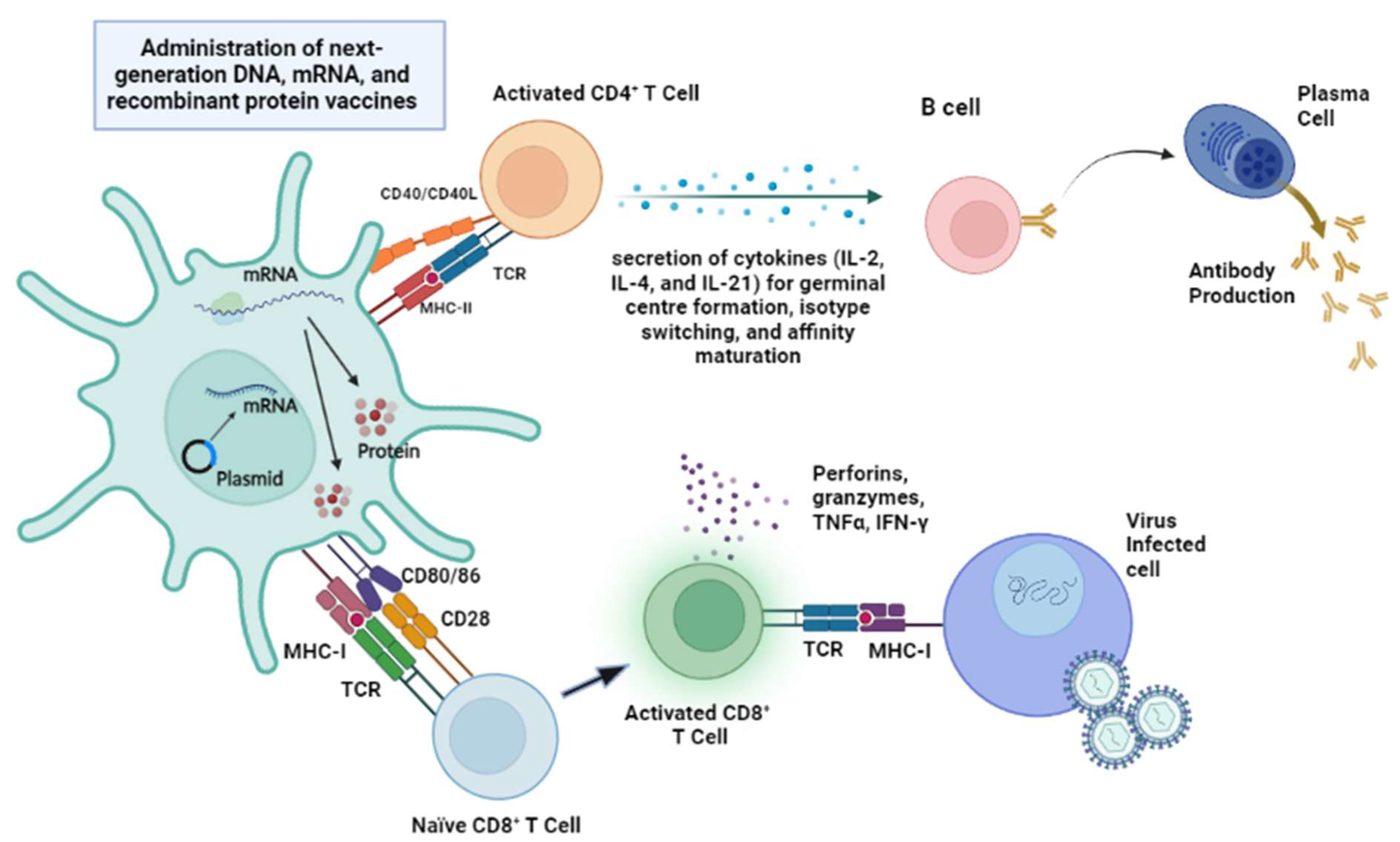 Vaccines 11 01264 g002