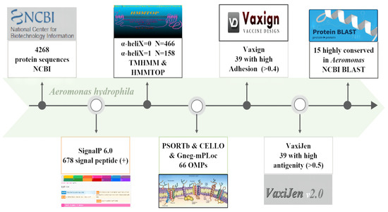 The Screening of the Protective Antigens of Aeromonas