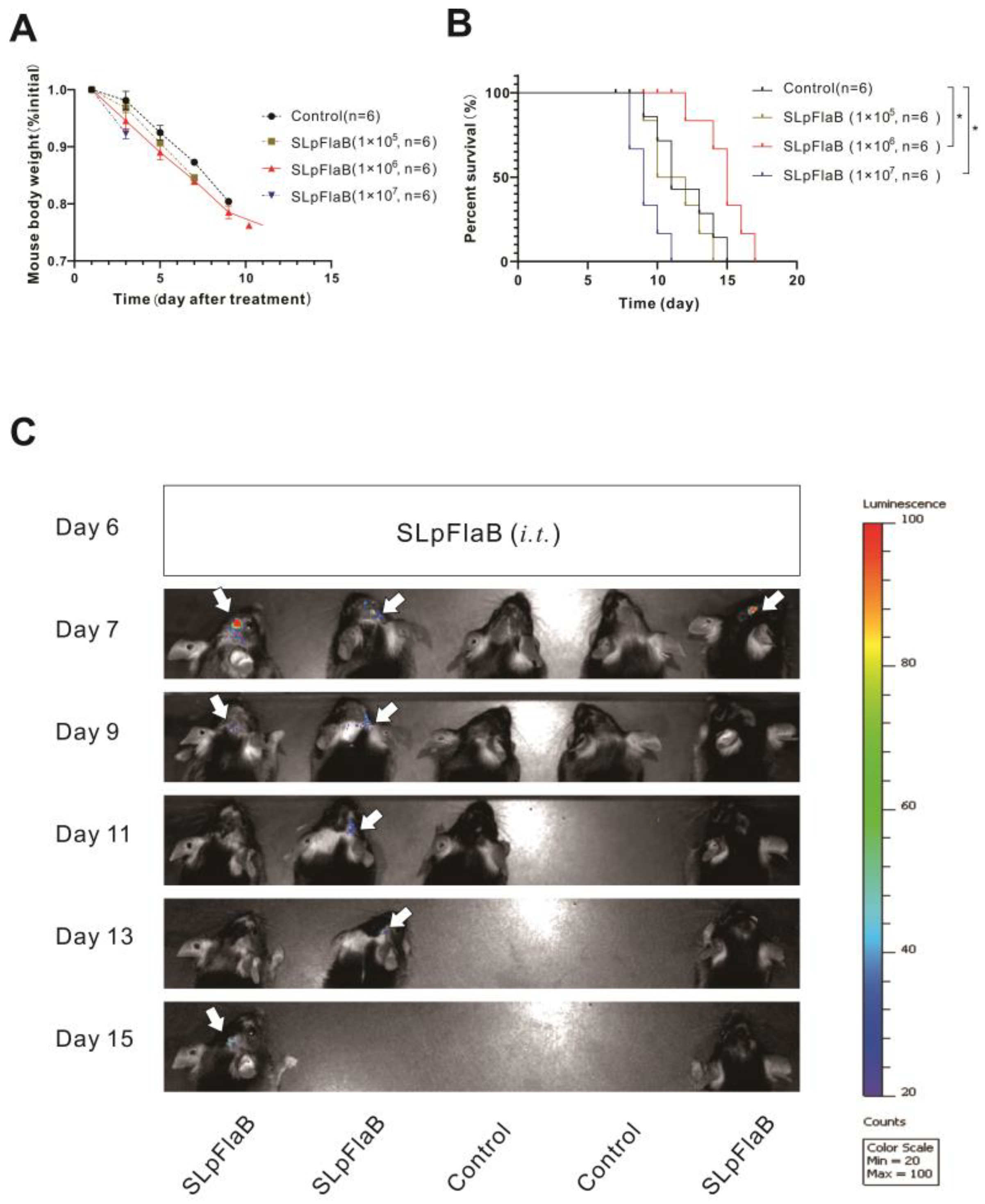 Vaccines 11 01275 g002 Vaccines 11 01275 g002