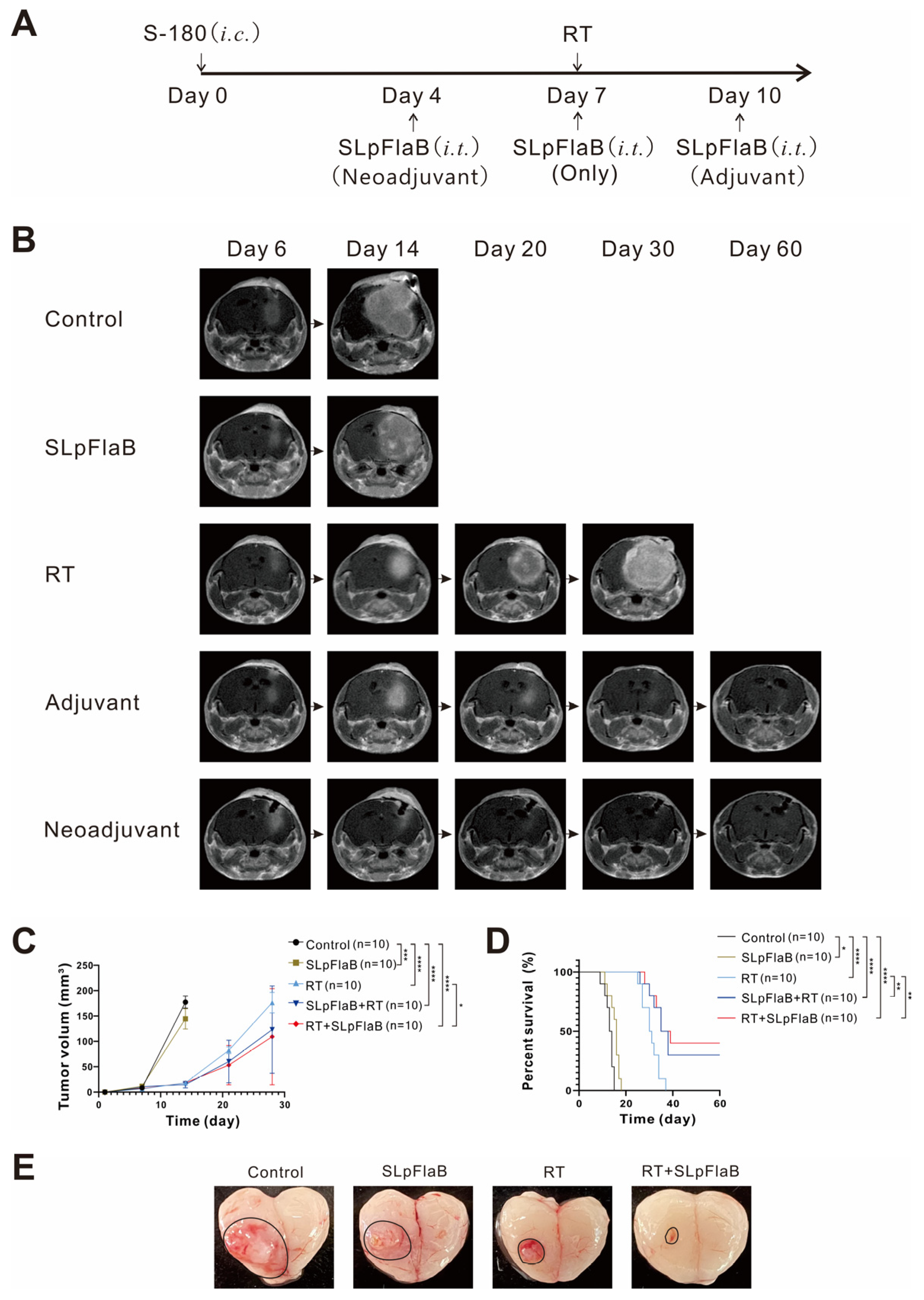 Vaccines 11 01275 g003 Vaccines 11 01275 g003