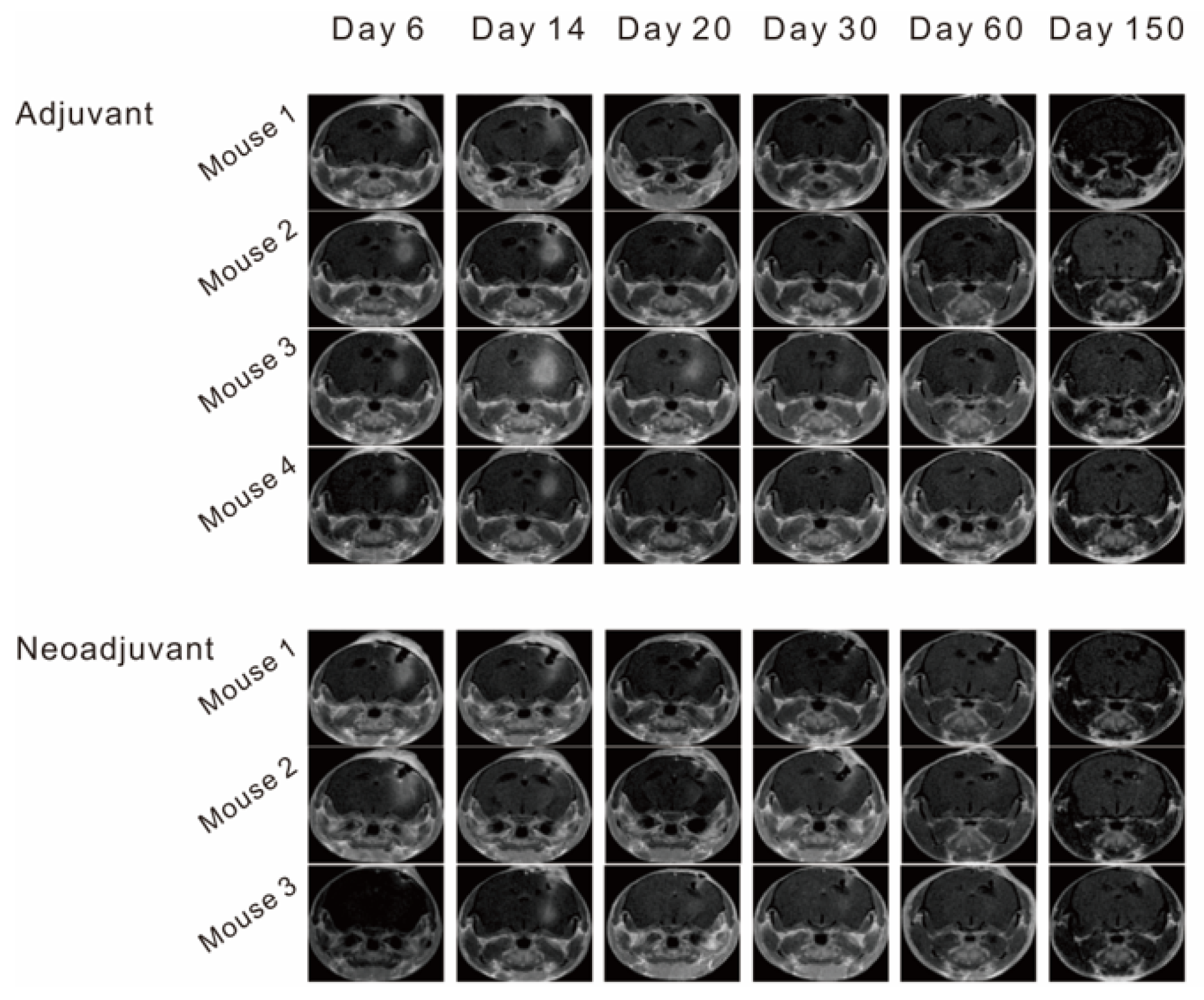 Vaccines 11 01275 g005 Vaccines 11 01275 g005