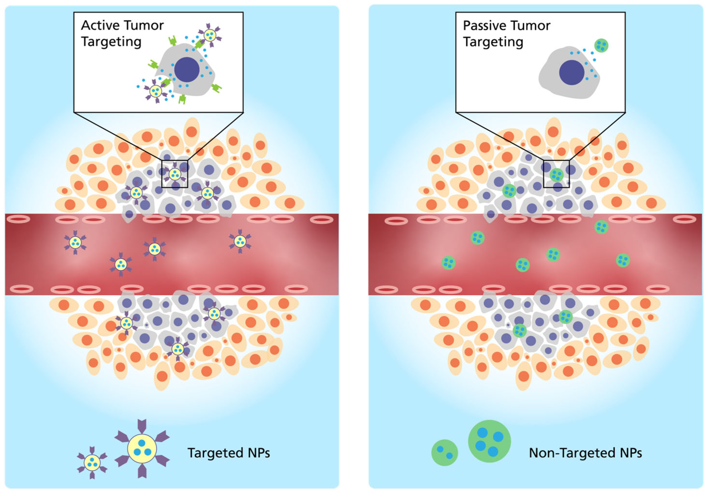 Vaccines 11 01287 g001