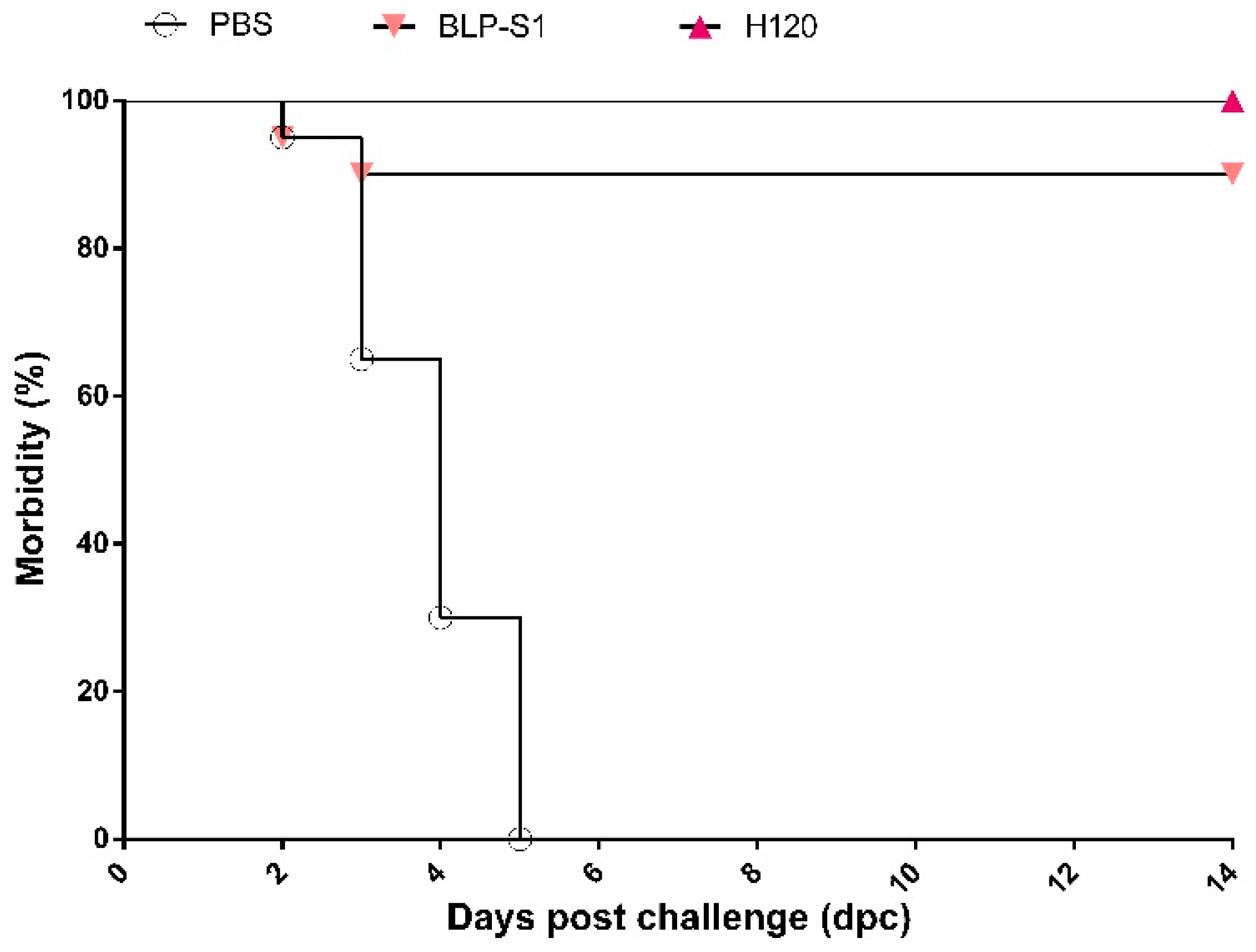 Vaccines 11 01292 g007 Vaccines 11 01292 g007