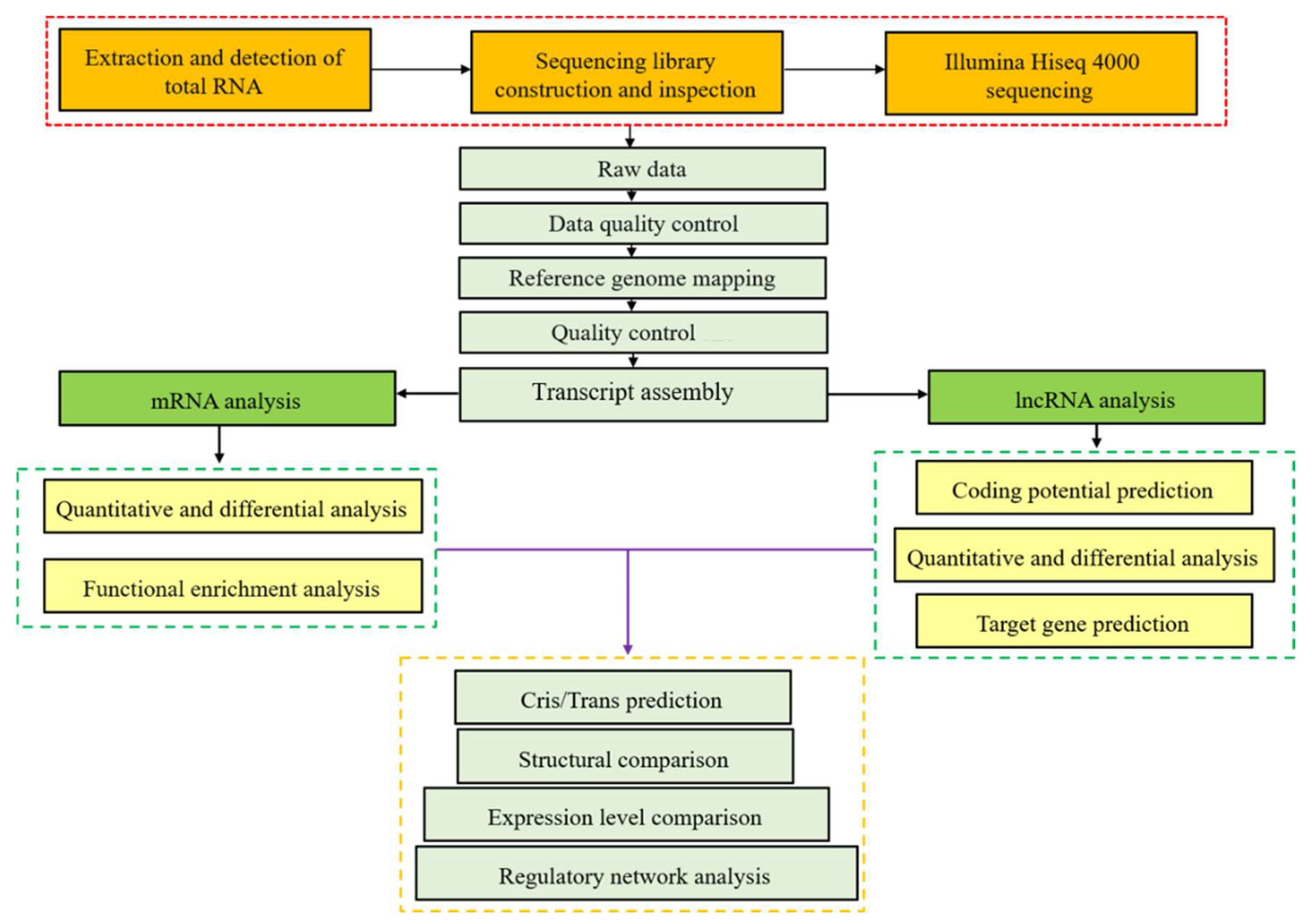Vaccines 11 01295 g001 Vaccines 11 01295 g001