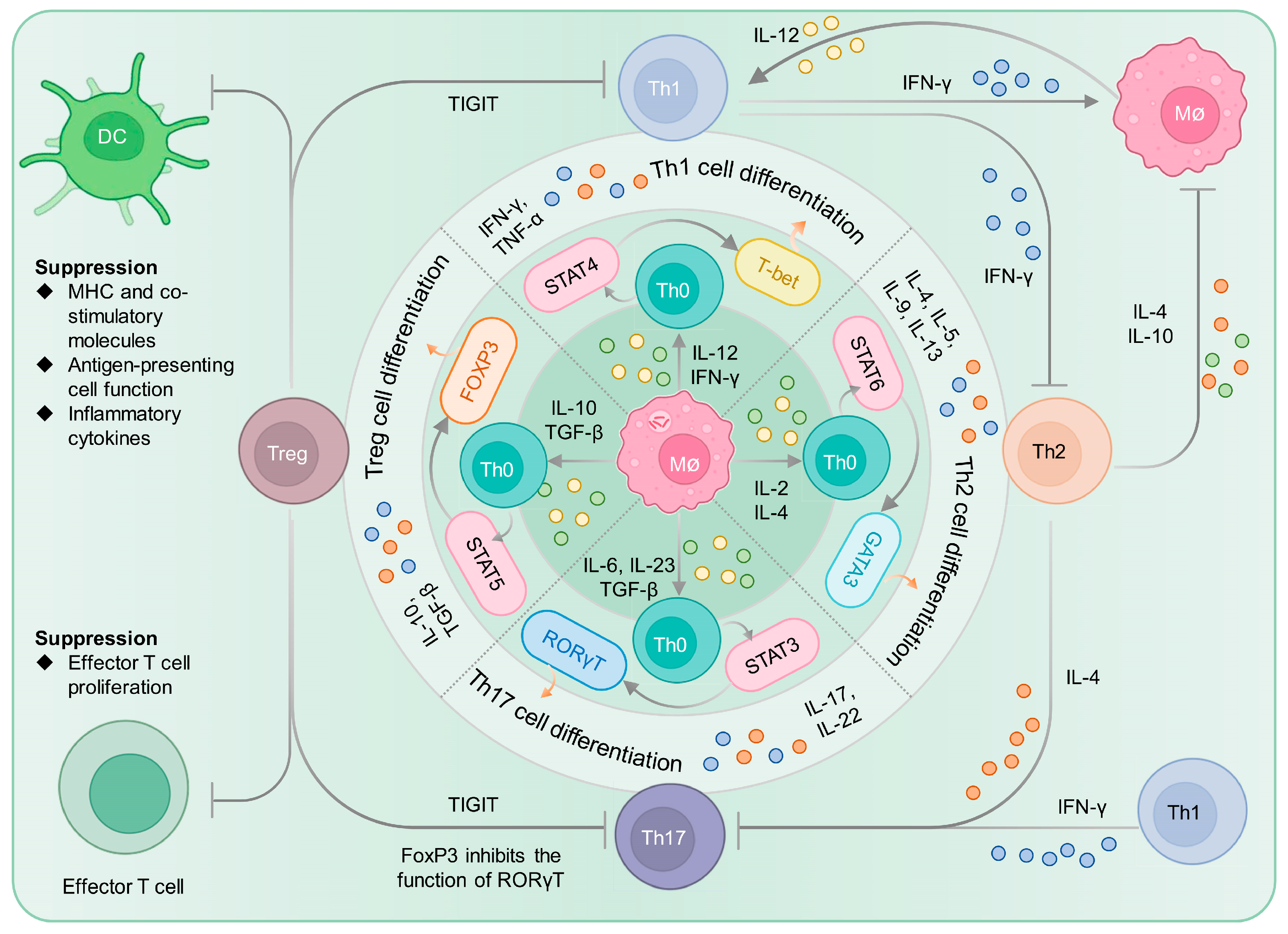 Vaccines 11 01304 g002 Vaccines 11 01304 g002