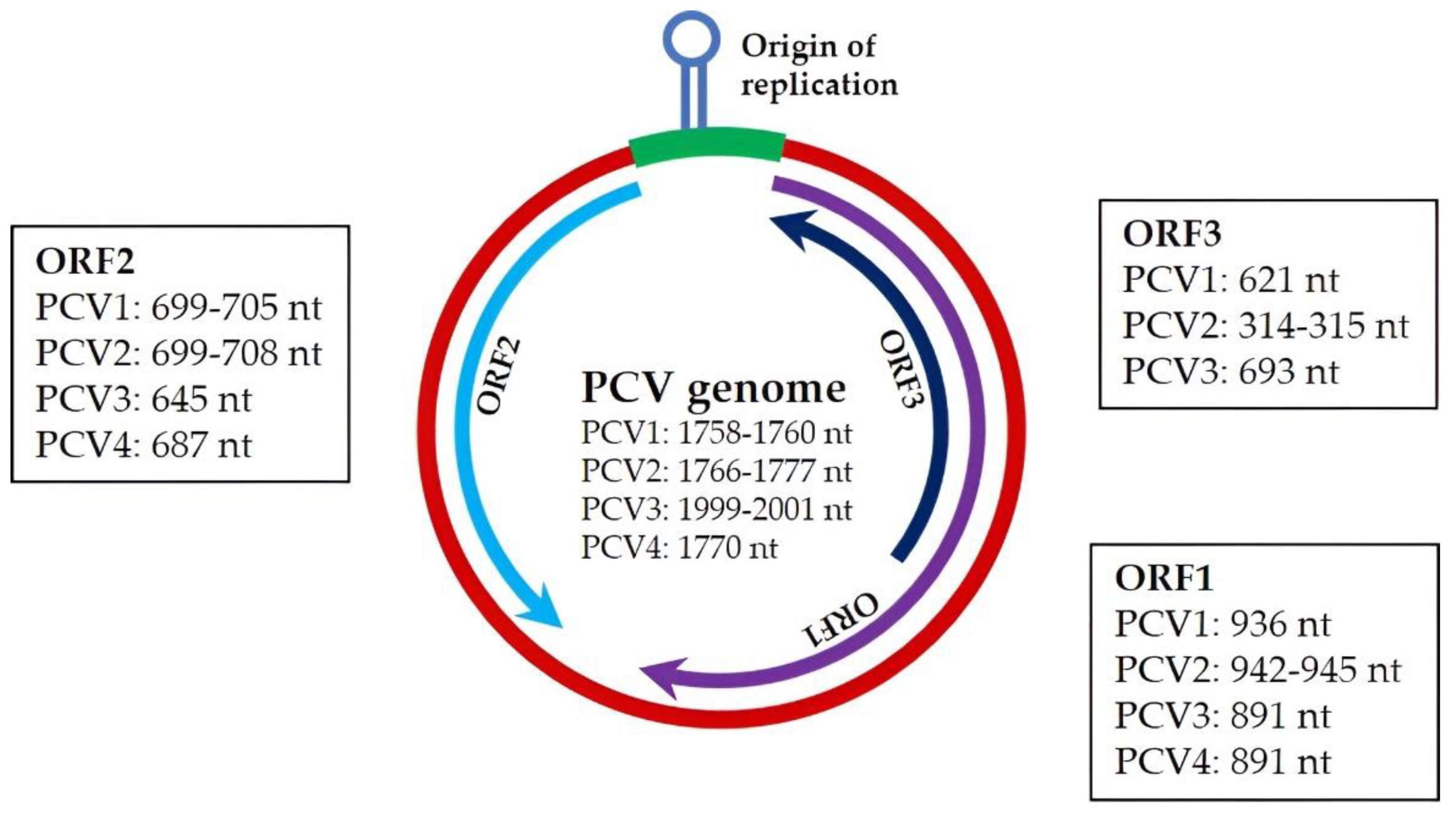 Vaccines 11 01308 g001