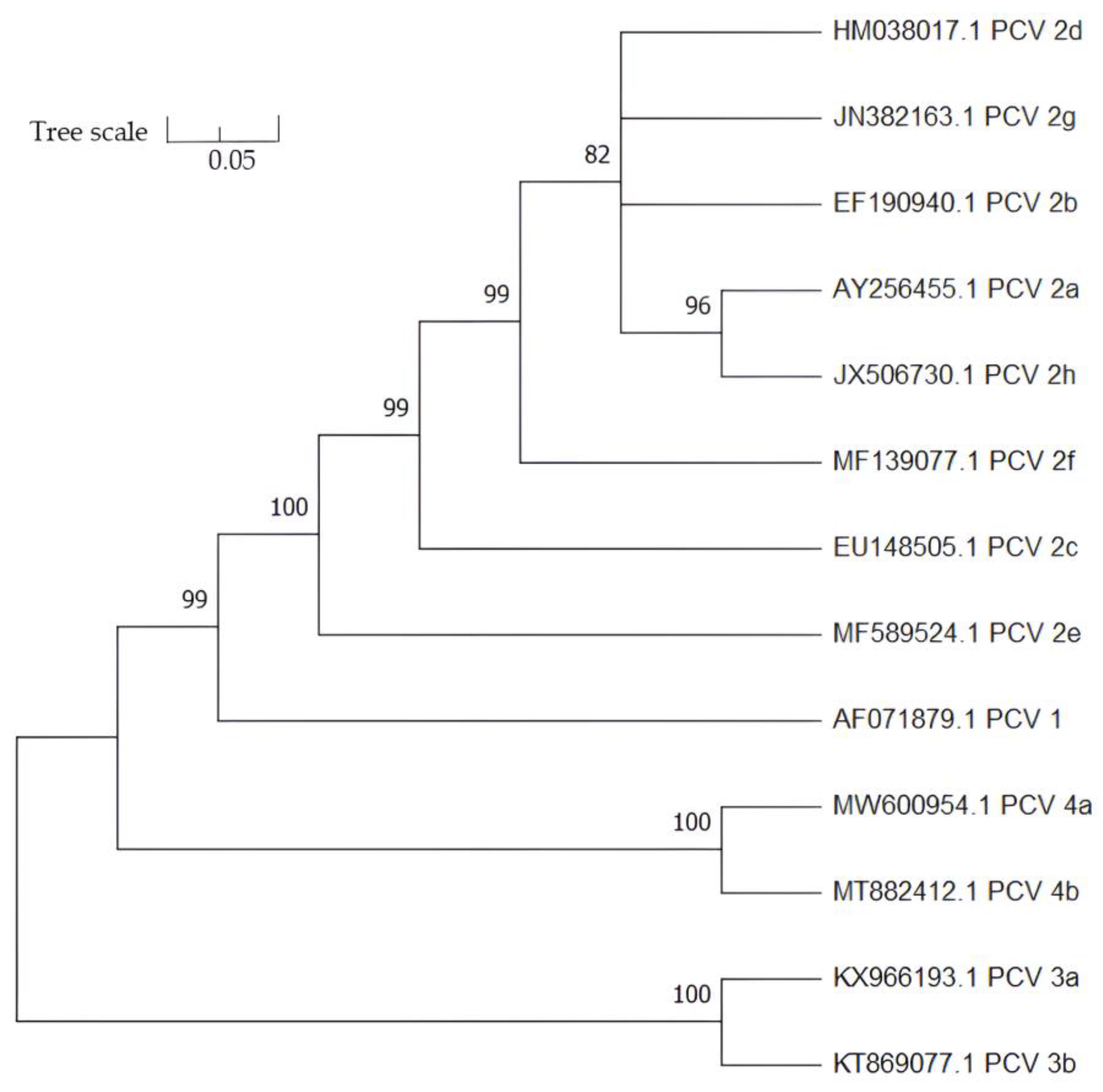 Vaccines 11 01308 g003
