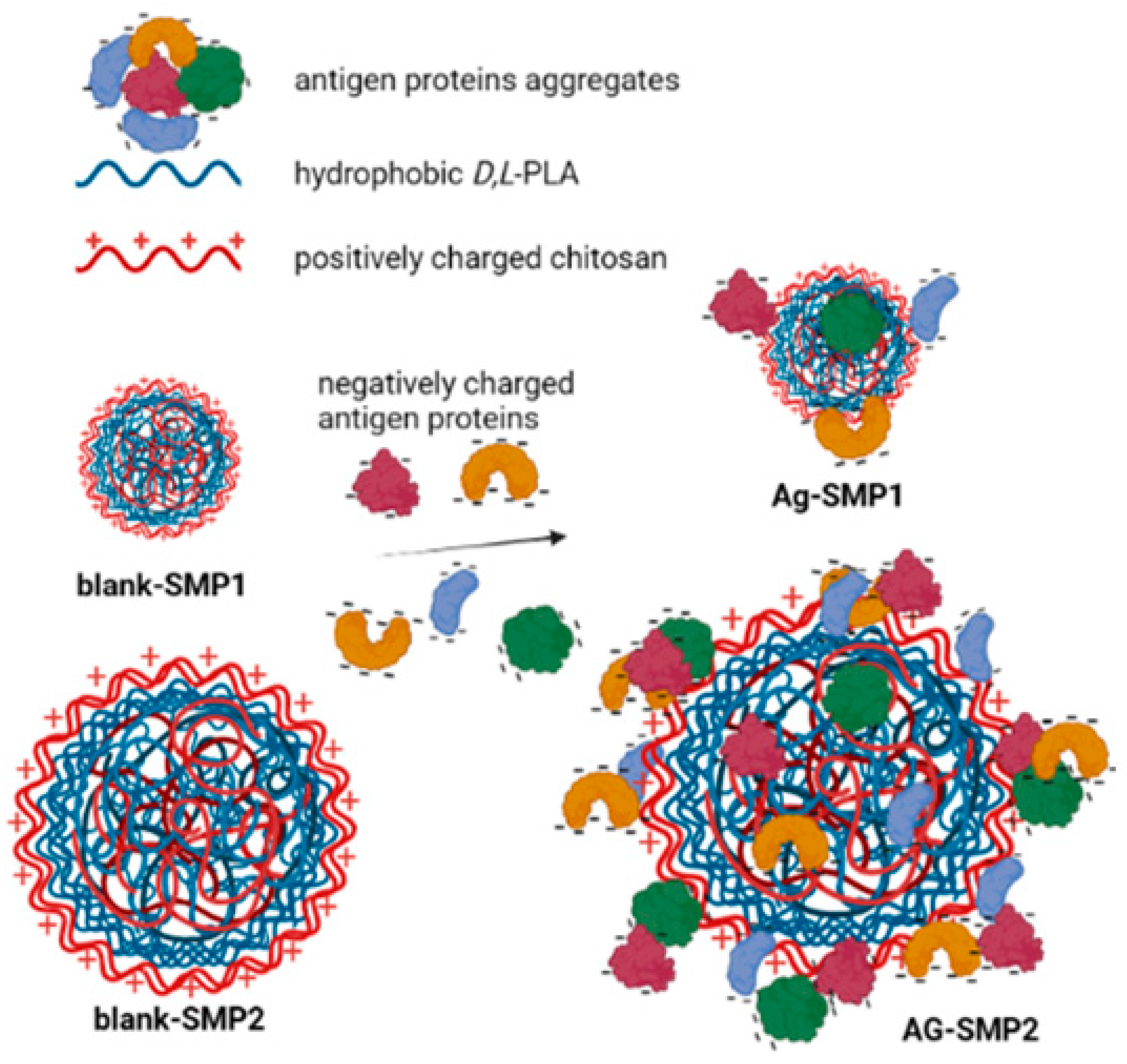 Vaccines Free Full Text Polymeric Delivery Systems as a