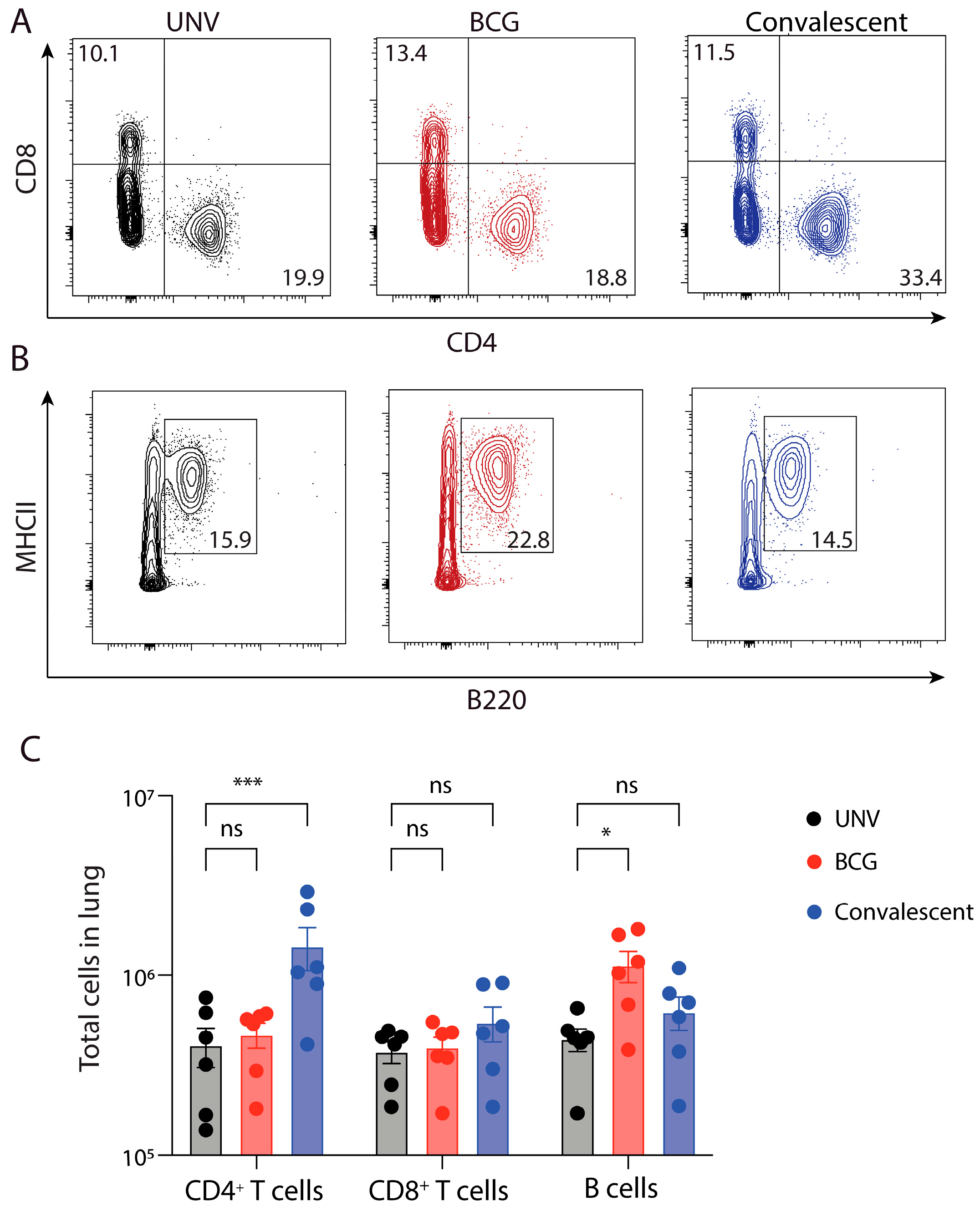 Vaccines 11 01313 g003 Vaccines 11 01313 g003