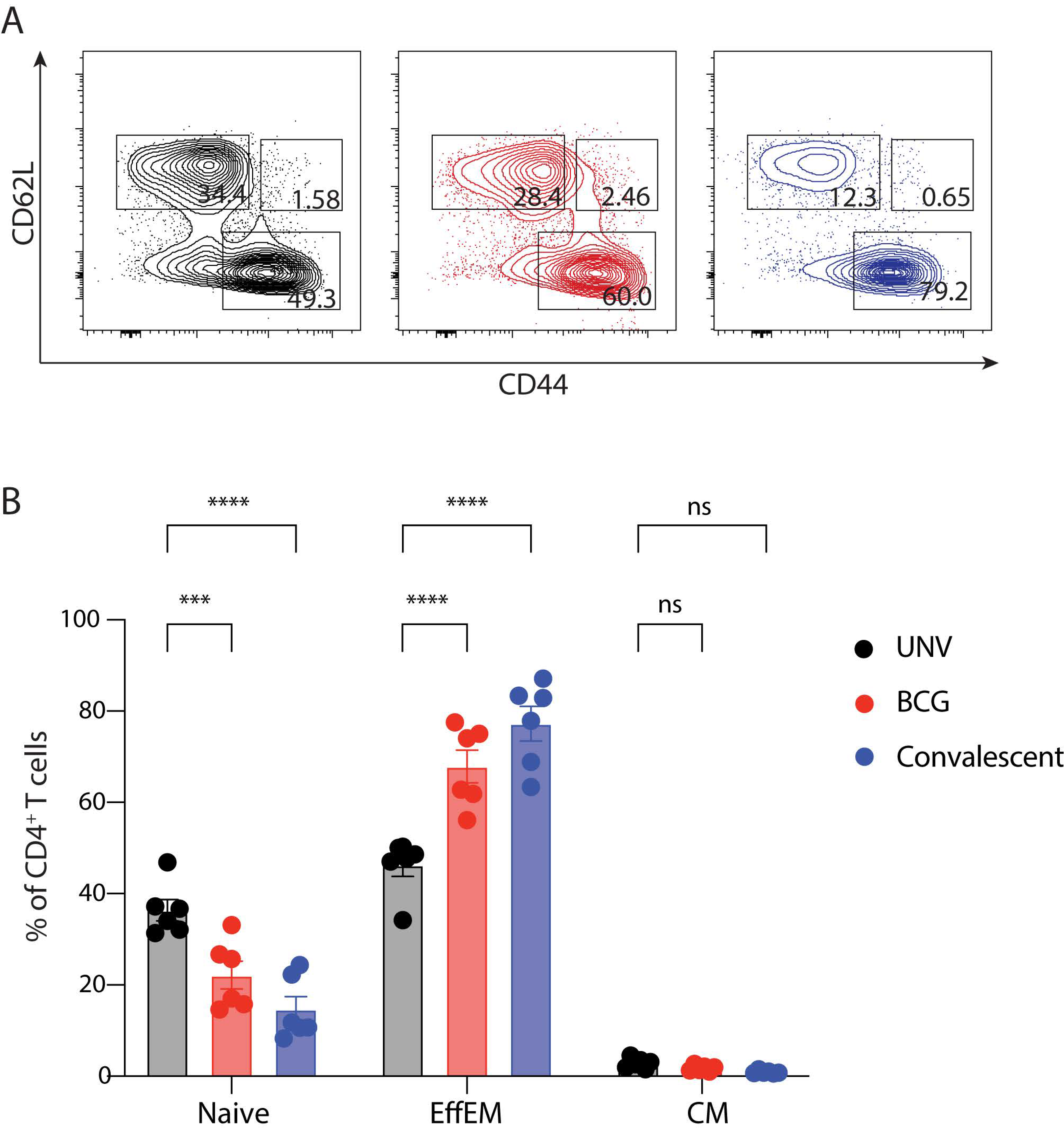 Vaccines 11 01313 g005 Vaccines 11 01313 g005