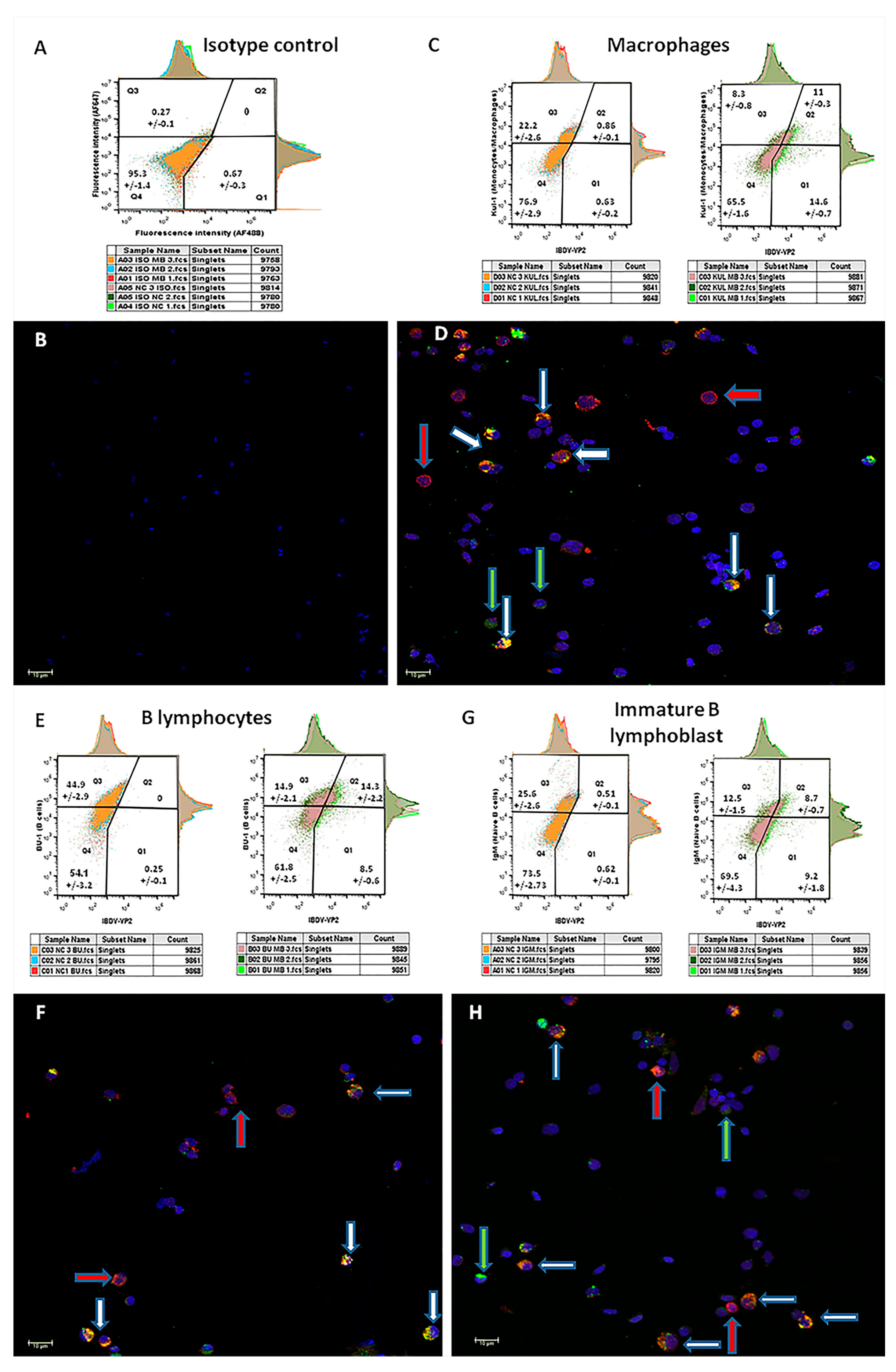 Vaccines 11 01316 g005