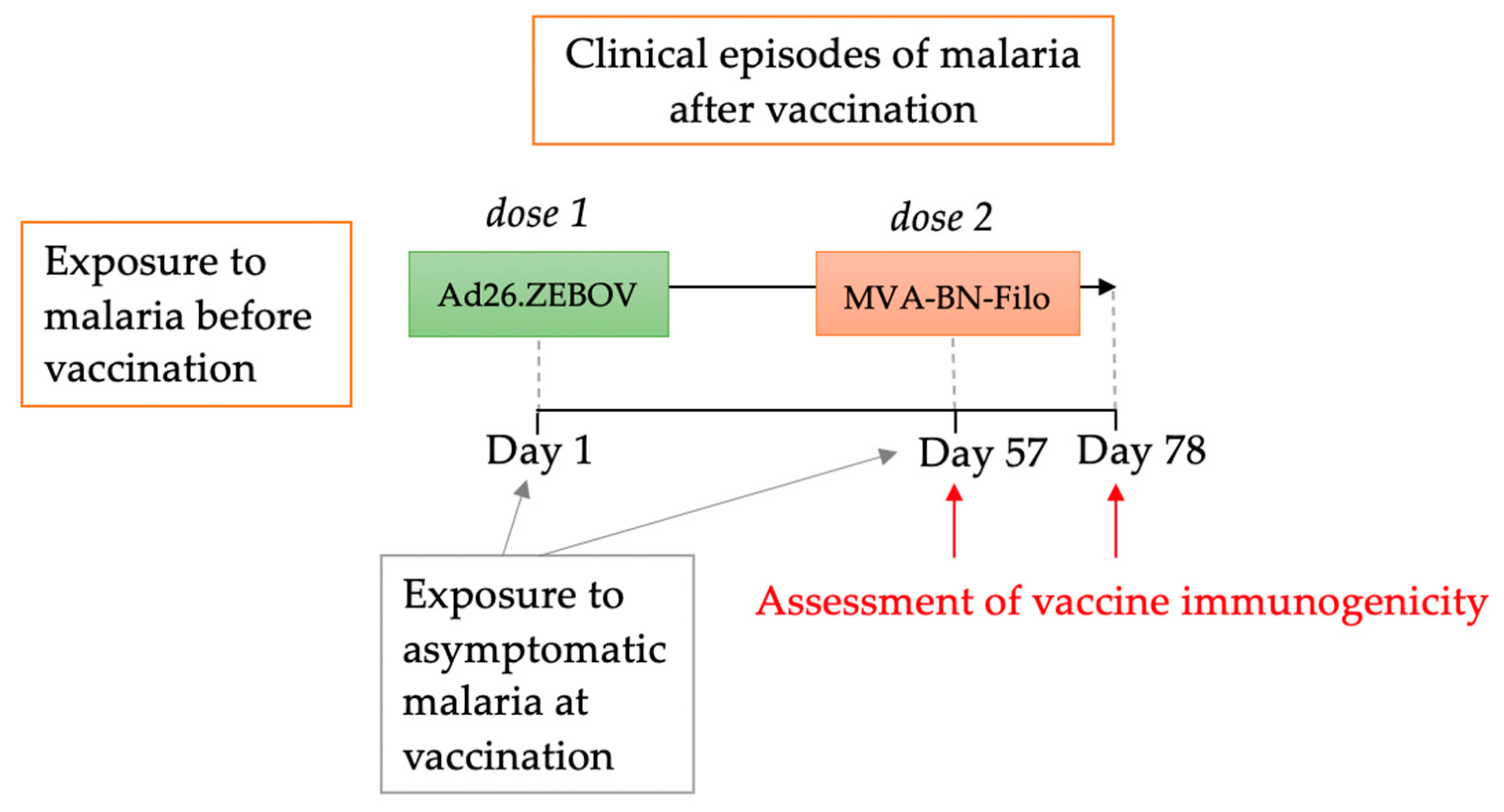 Vaccines 11 01317 g001
