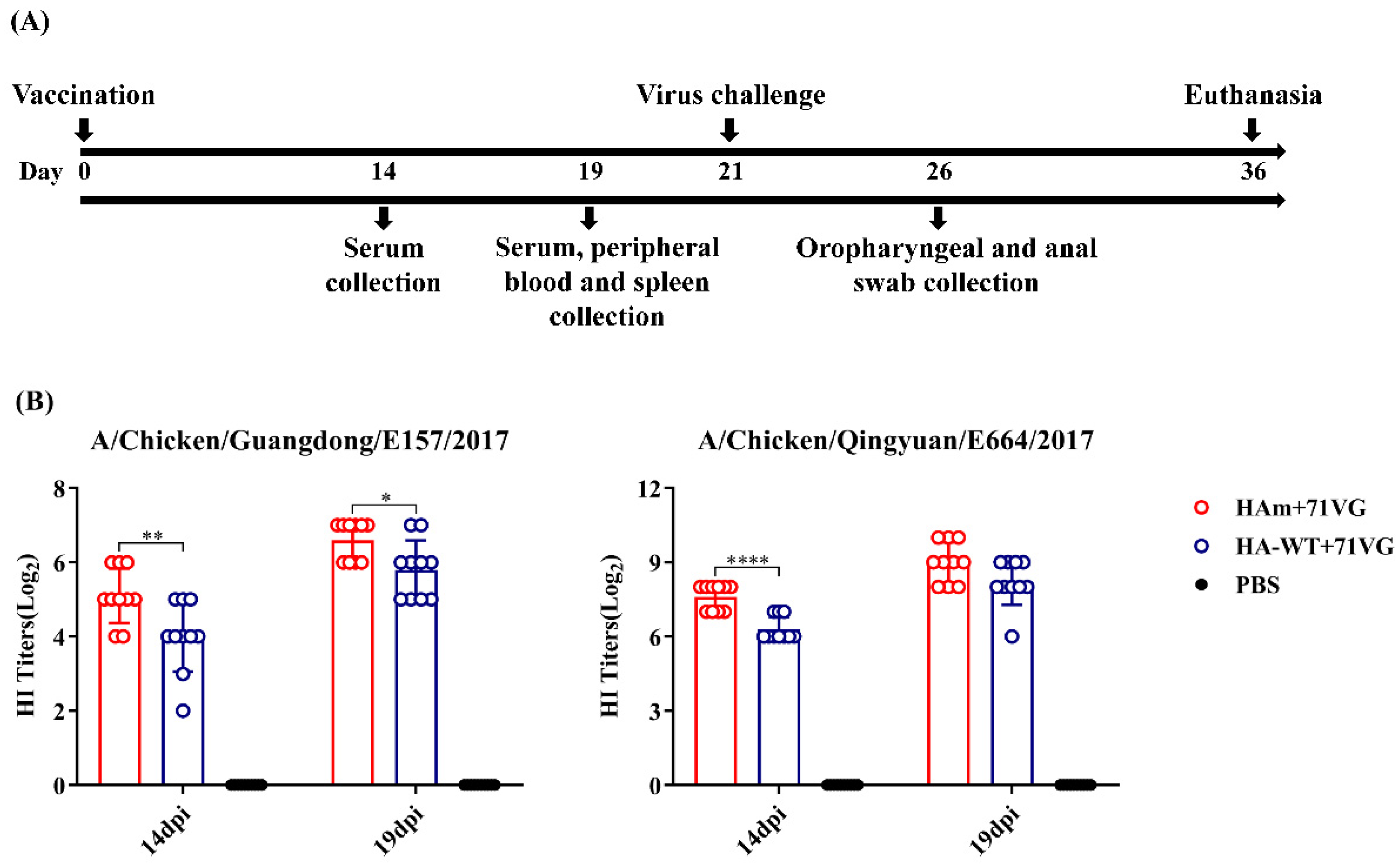 Vaccines 11 01318 g004