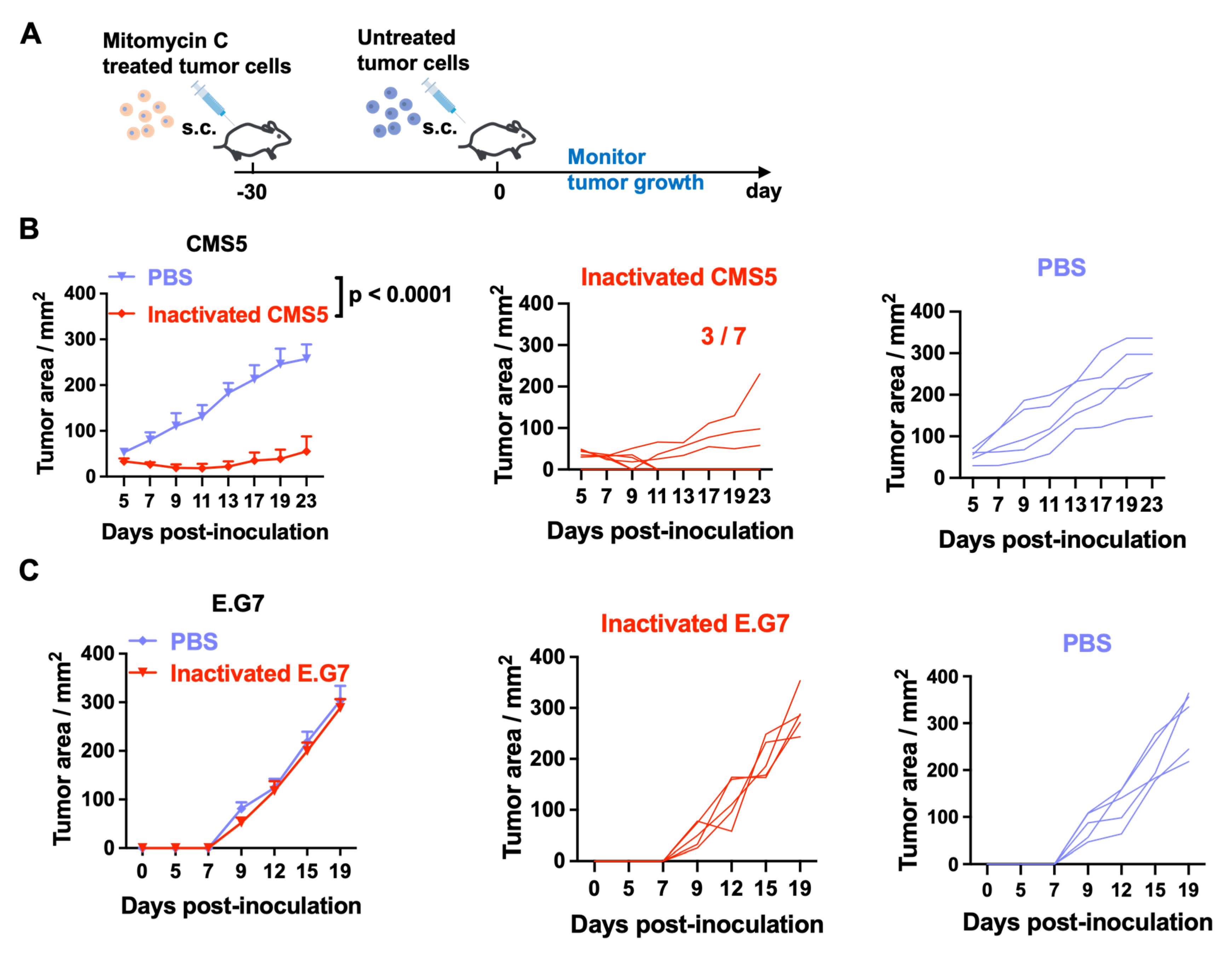 Vaccines 11 01330 g001 Vaccines 11 01330 g001