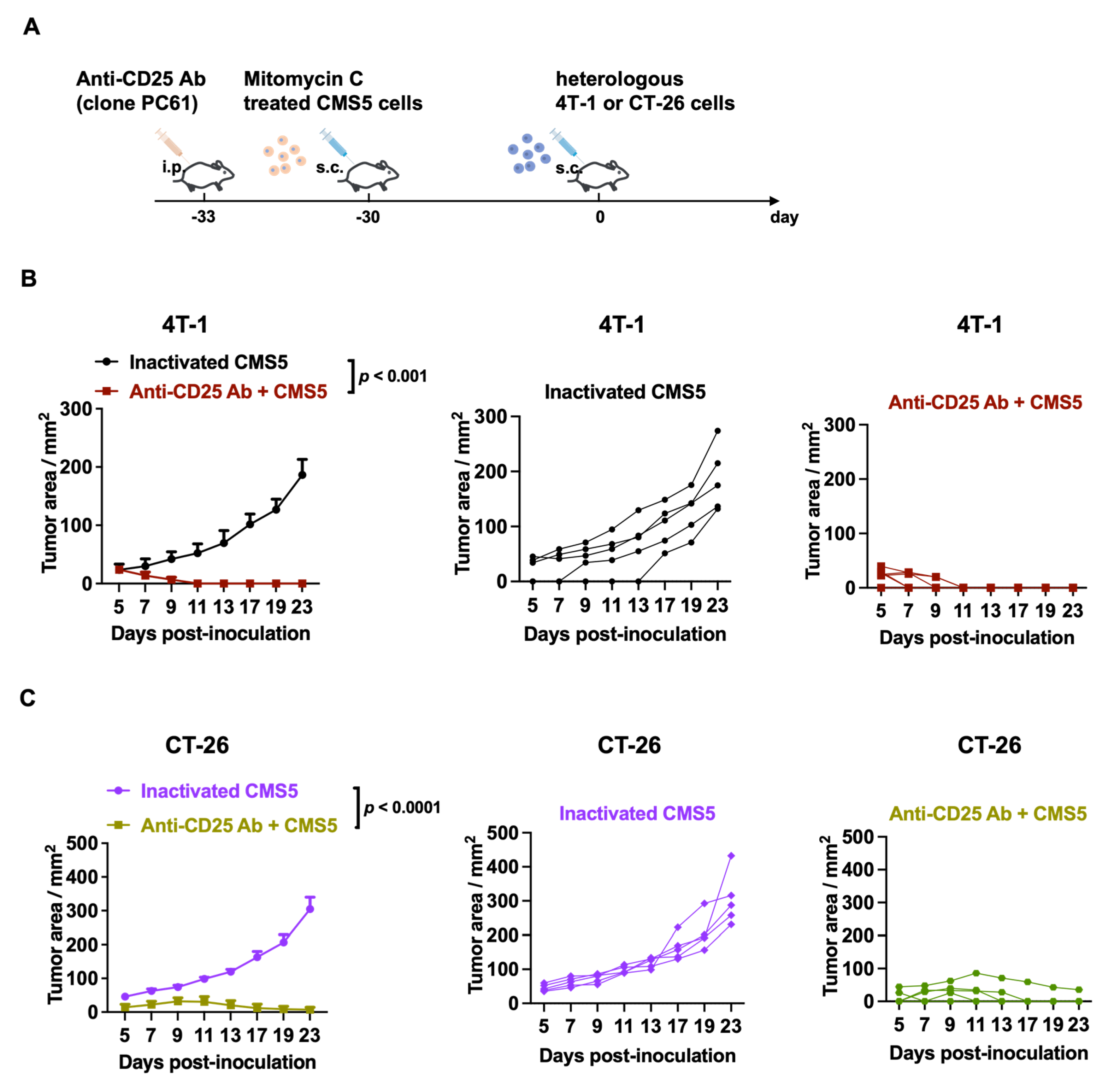 Vaccines 11 01330 g005 Vaccines 11 01330 g005