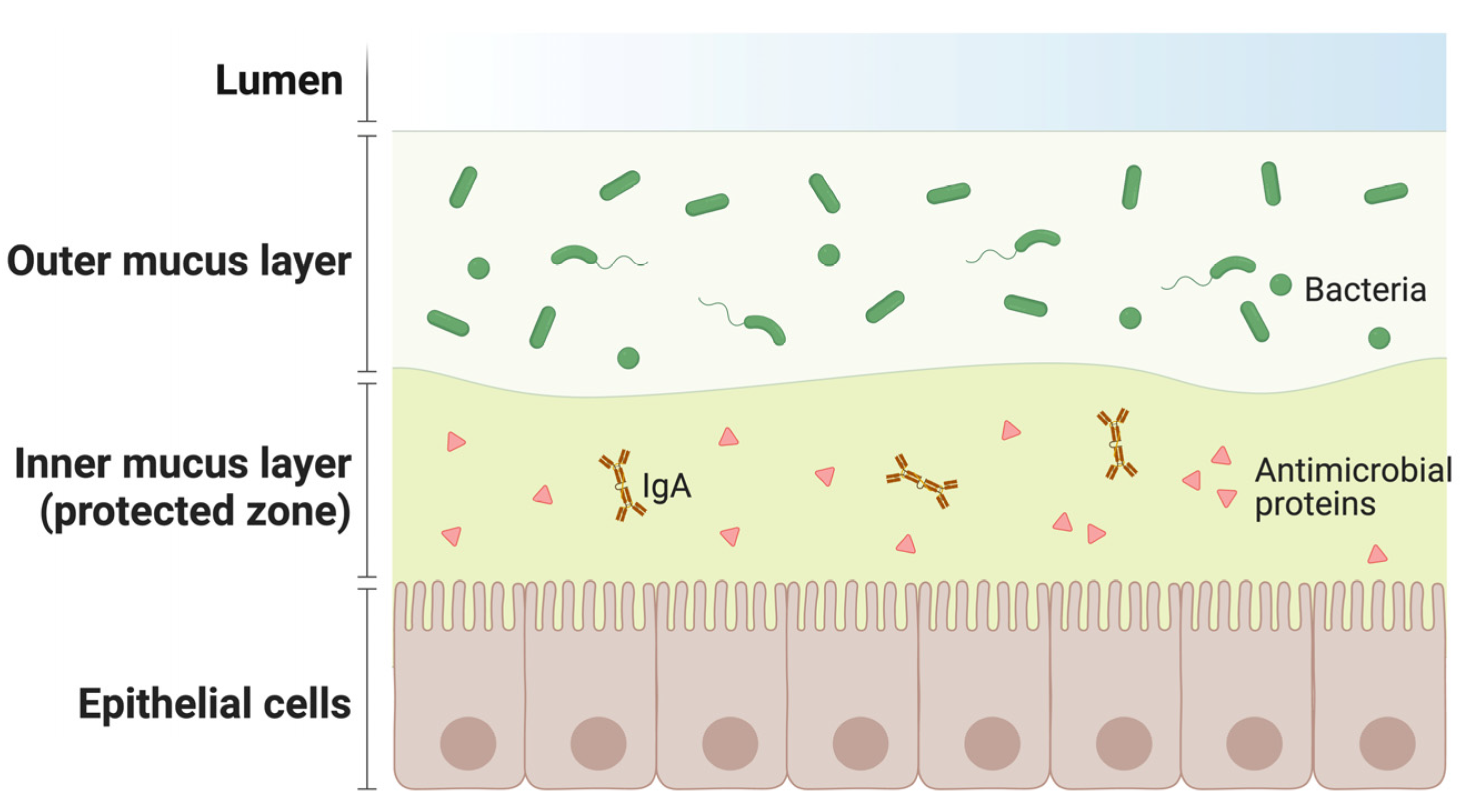 Vaccines 11 01333 g003