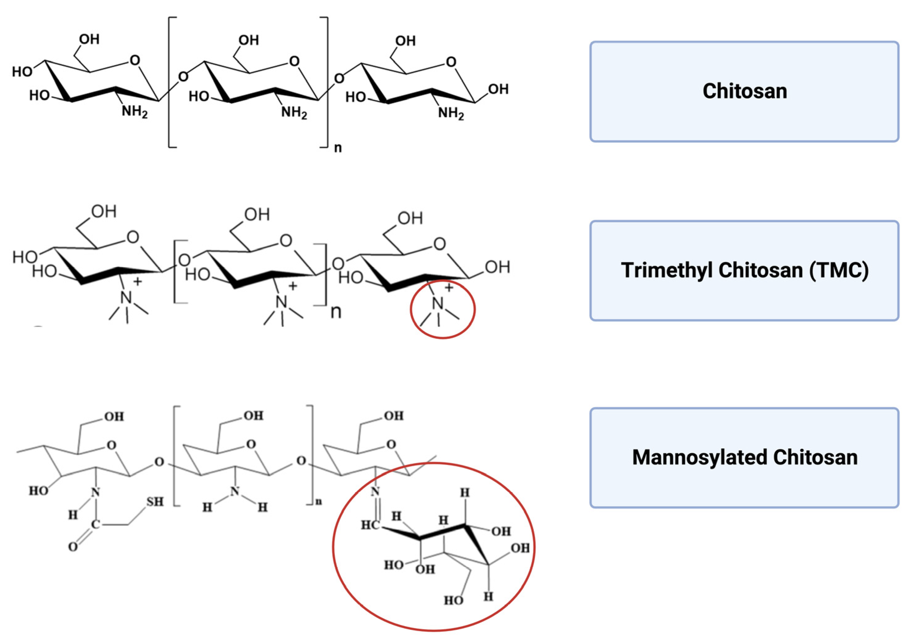 Vaccines 11 01333 g005