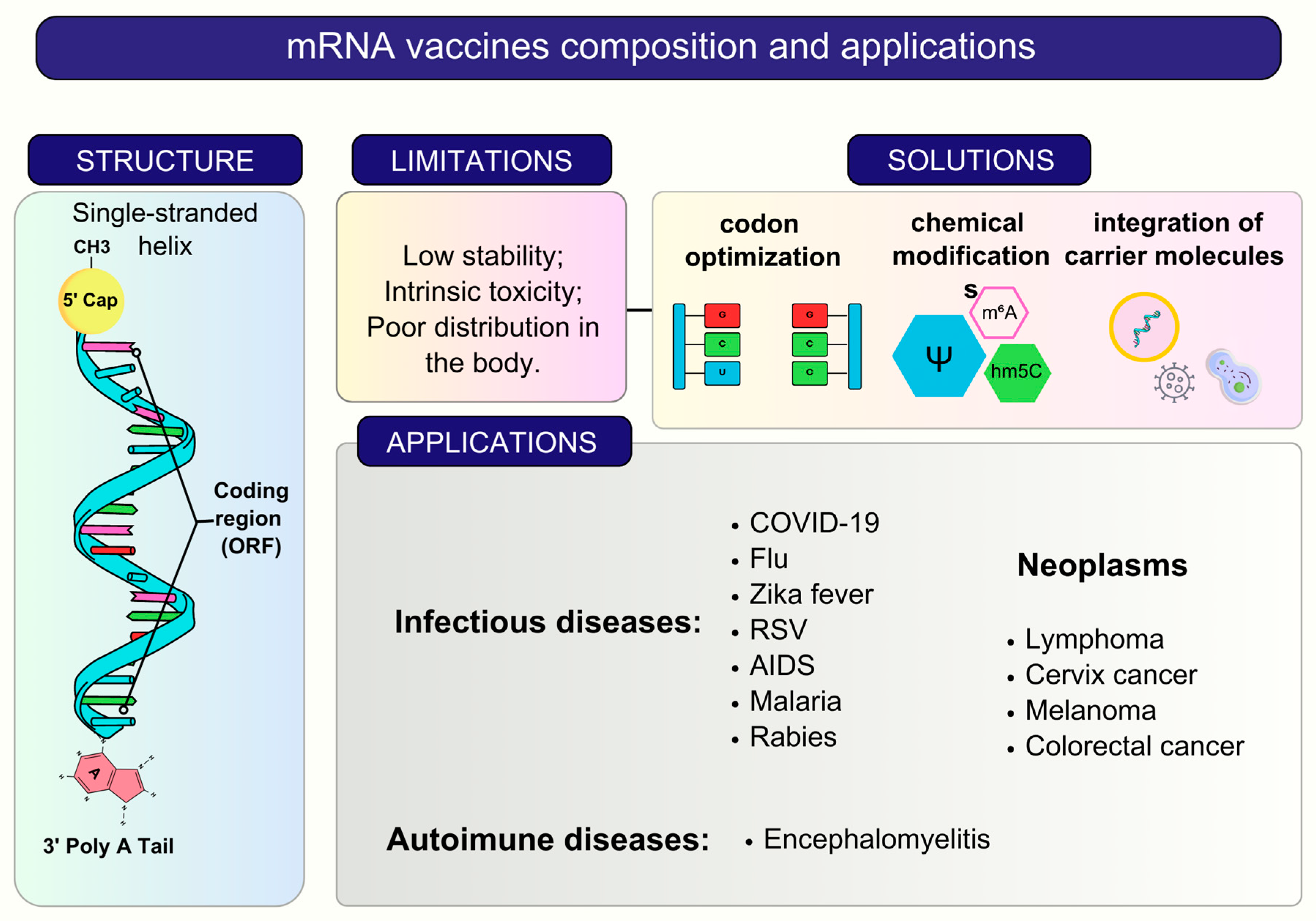 Vaccines | Free Full-Text | RNA Vaccines: Yeast as a Novel Antigen Vehicle