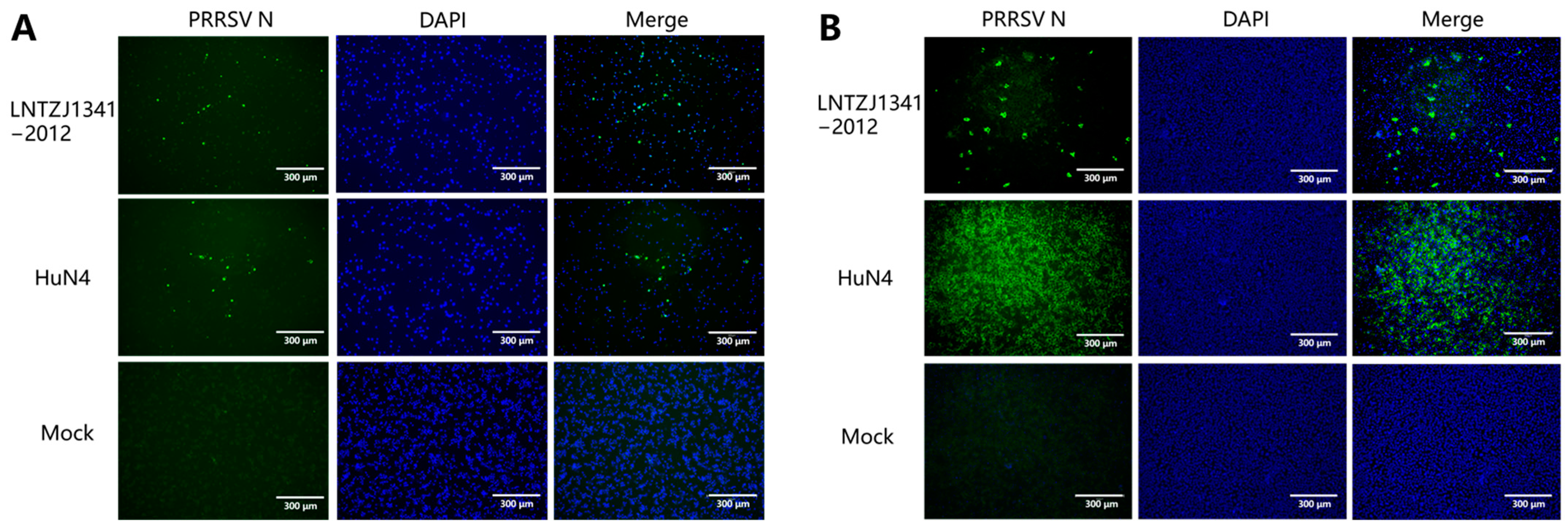 Vaccines 11 01349 g002 Vaccines 11 01349 g002