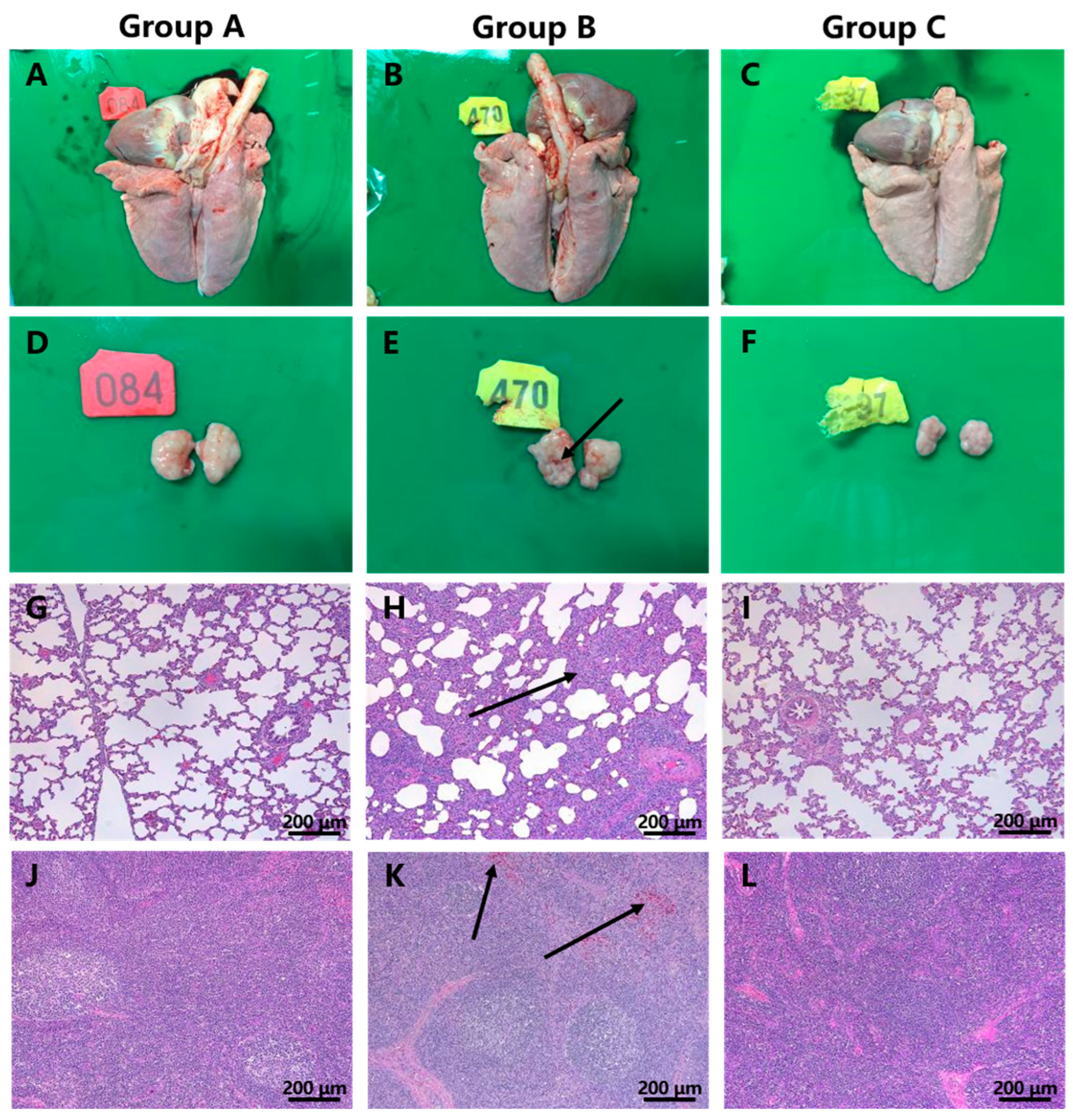 Vaccines 11 01349 g004 Vaccines 11 01349 g004