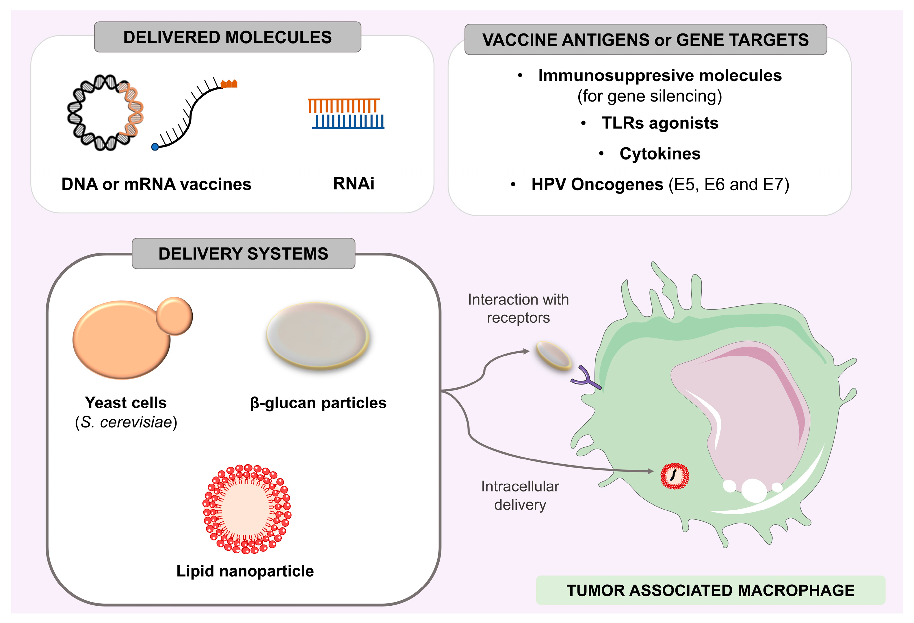 Vaccines 11 01354 g002 Vaccines 11 01354 g002