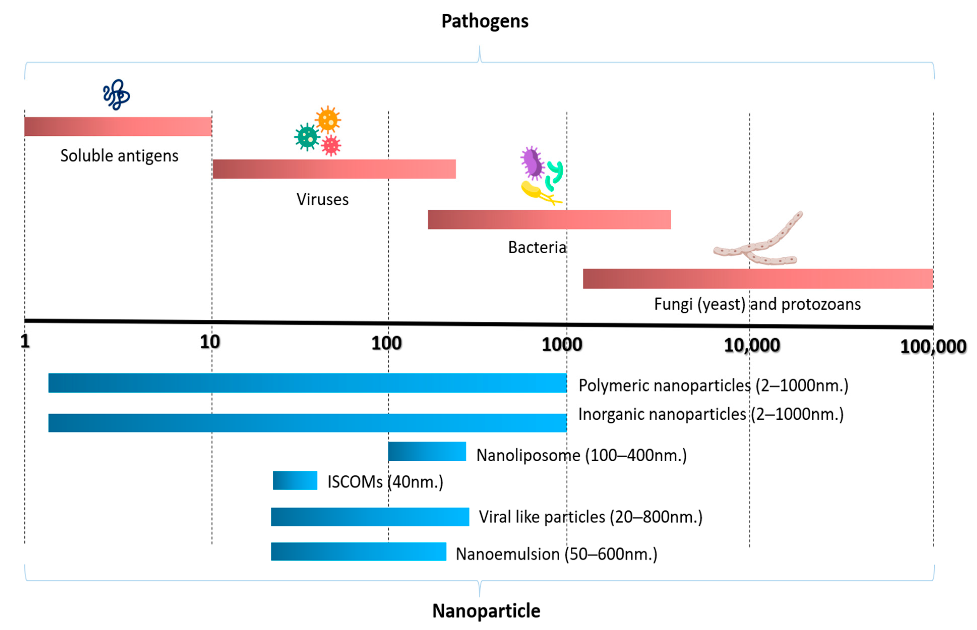 Vaccines 11 01356 g001