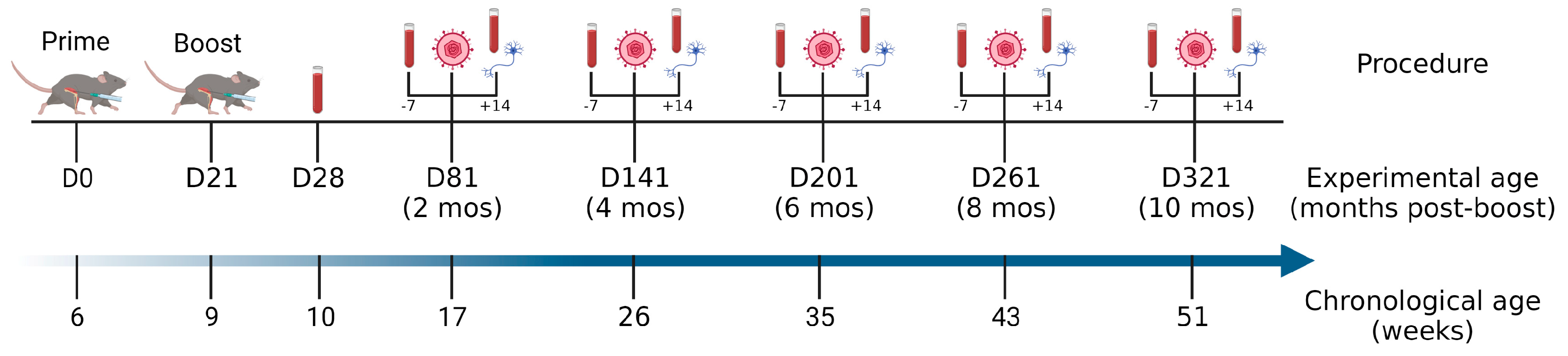 Vaccines 11 01362 g001 Vaccines 11 01362 g001