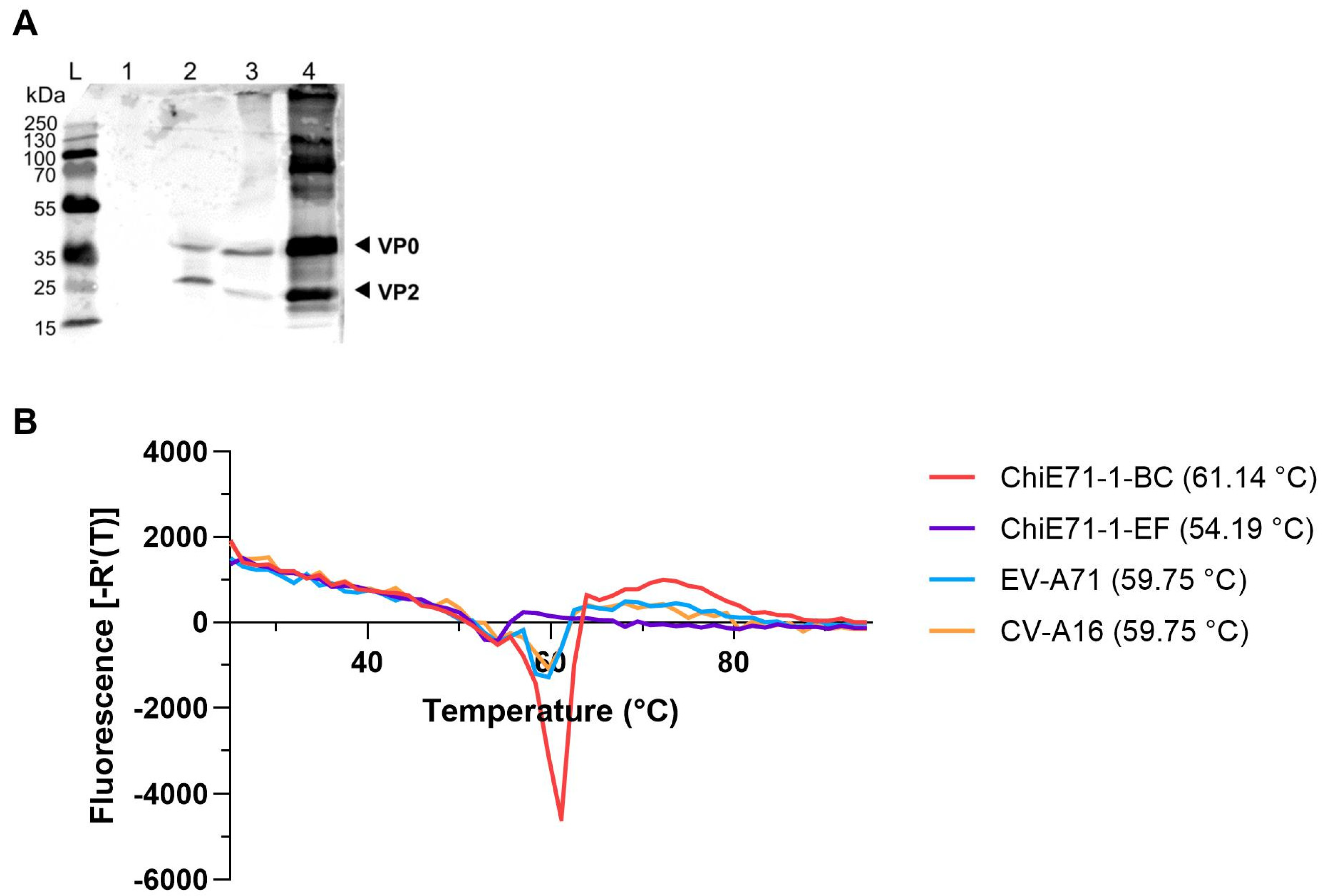Vaccines 11 01363 g005 Vaccines 11 01363 g005