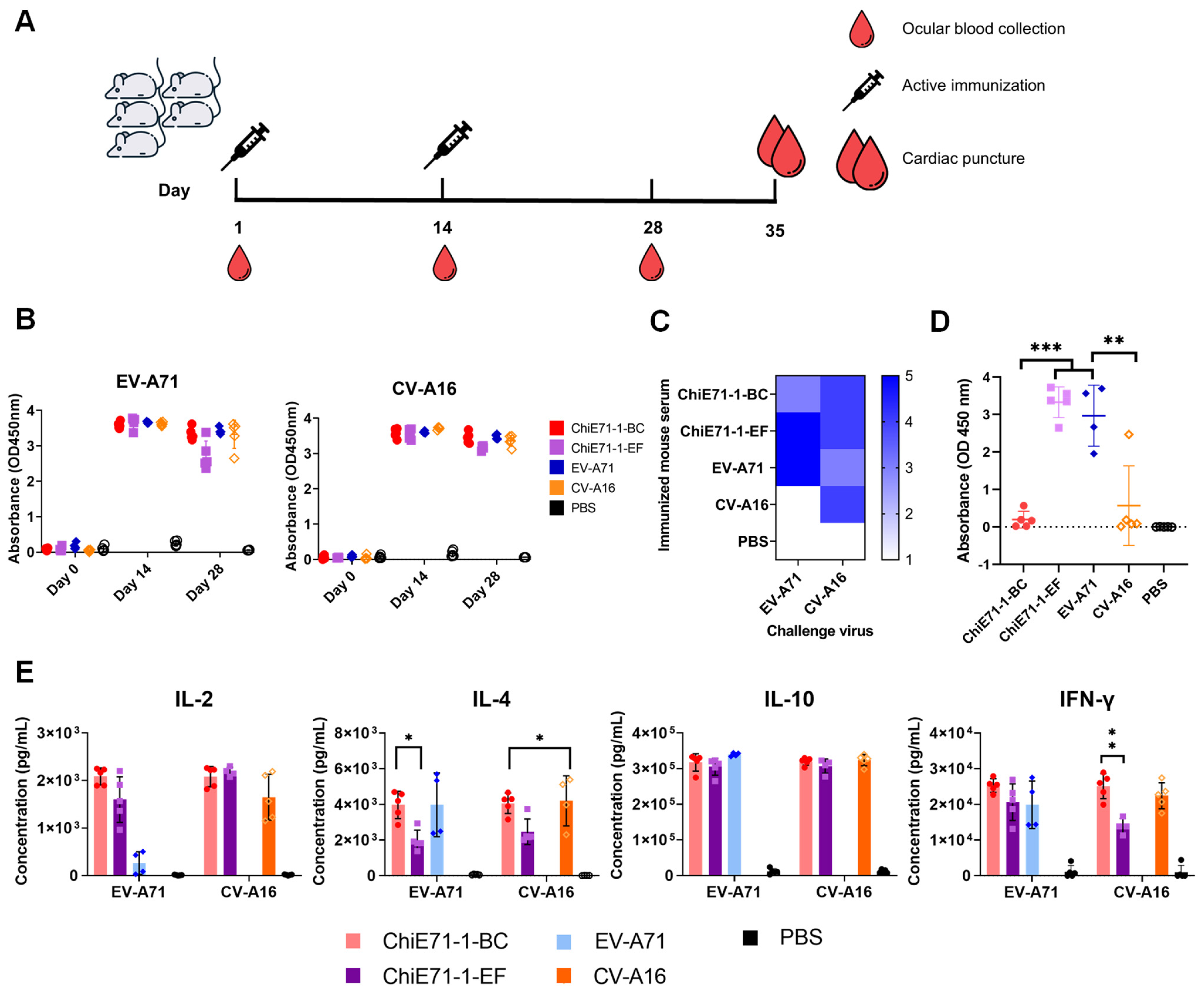 Vaccines 11 01363 g006 Vaccines 11 01363 g006