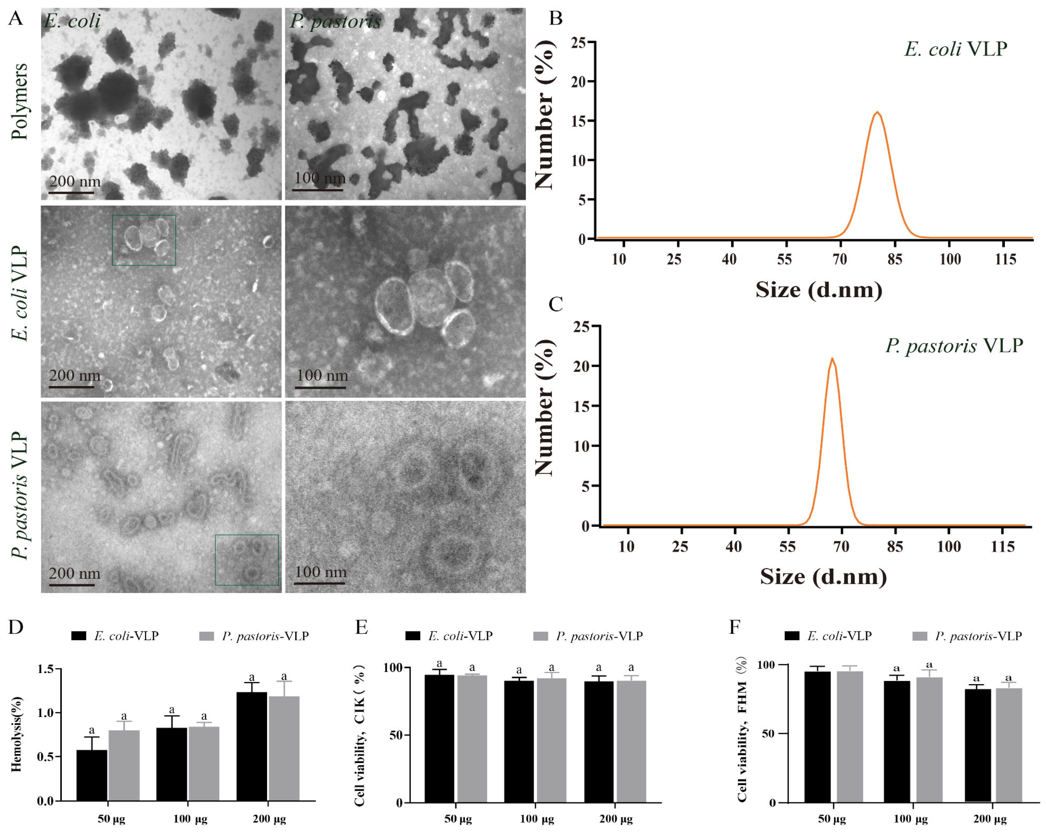 Vaccines 11 01373 g002