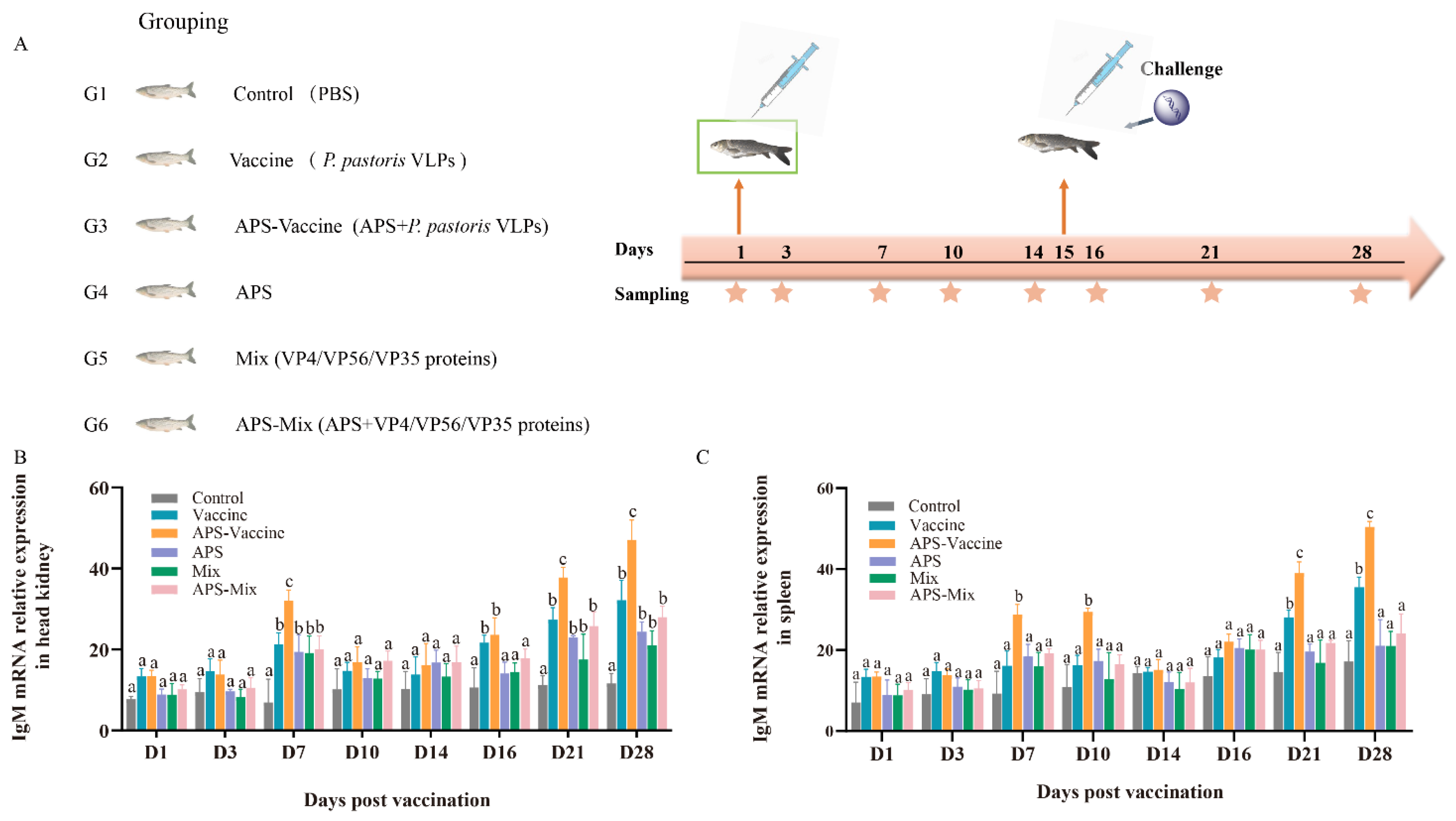 Vaccines 11 01373 g003