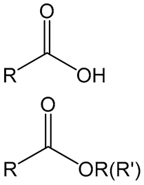 Vaccines 11 01395 i004