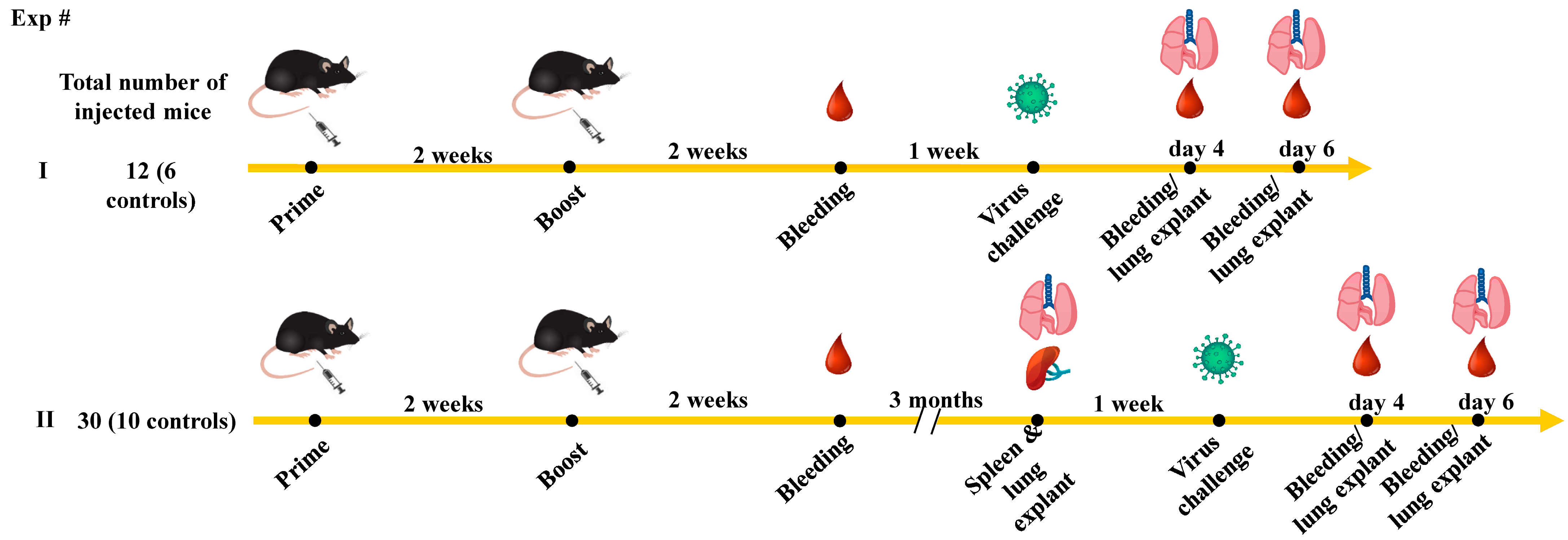 Vaccines 11 01433 g001