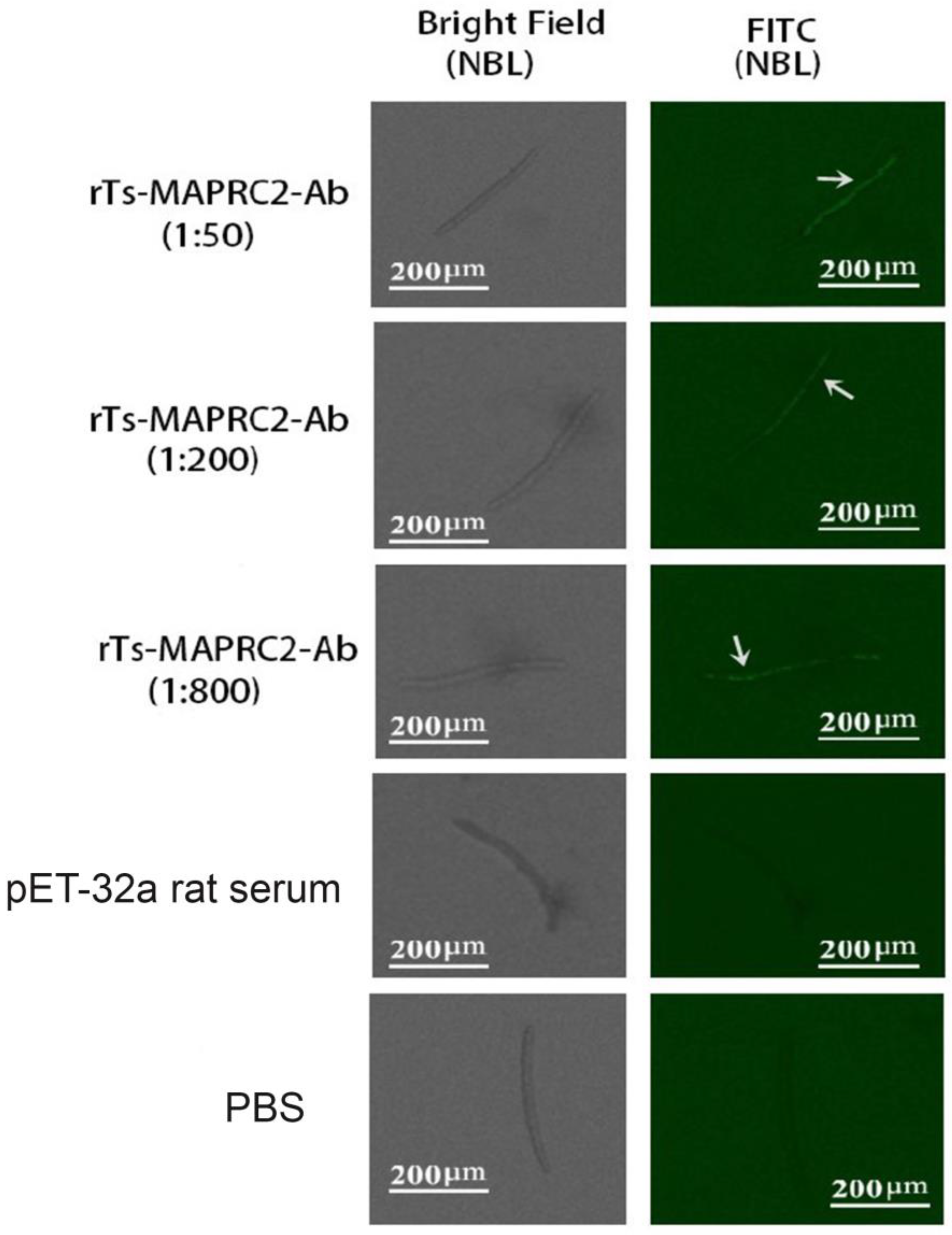 Vaccines 11 01437 g002