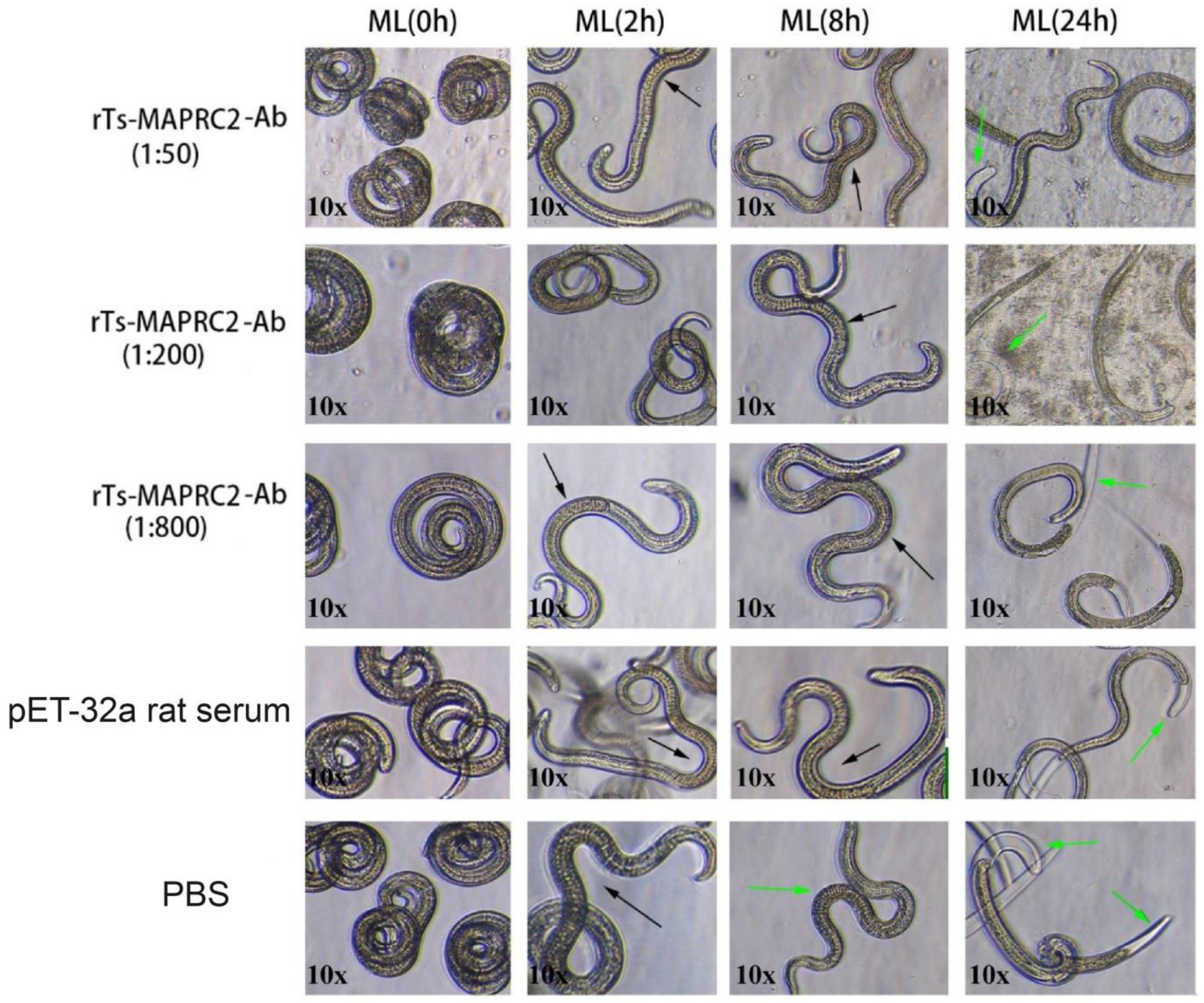 Vaccines 11 01437 g003