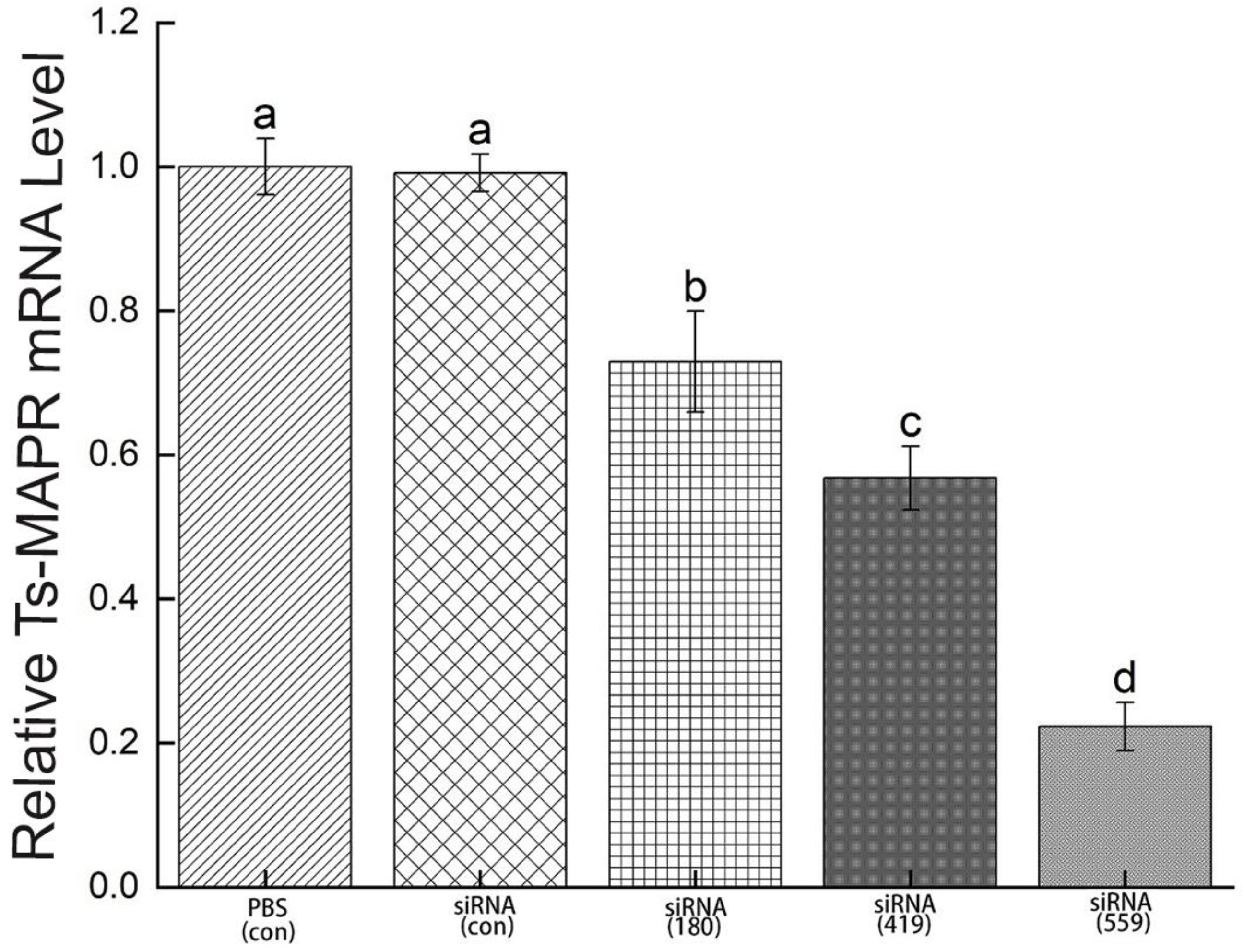 Vaccines 11 01437 g008