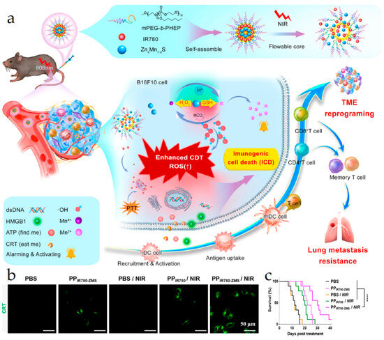 Nanotechnology-Assisted Immunogenic Cell Death for Effective Nanotechnology-Assisted Immunogenic Cell Death for Effective