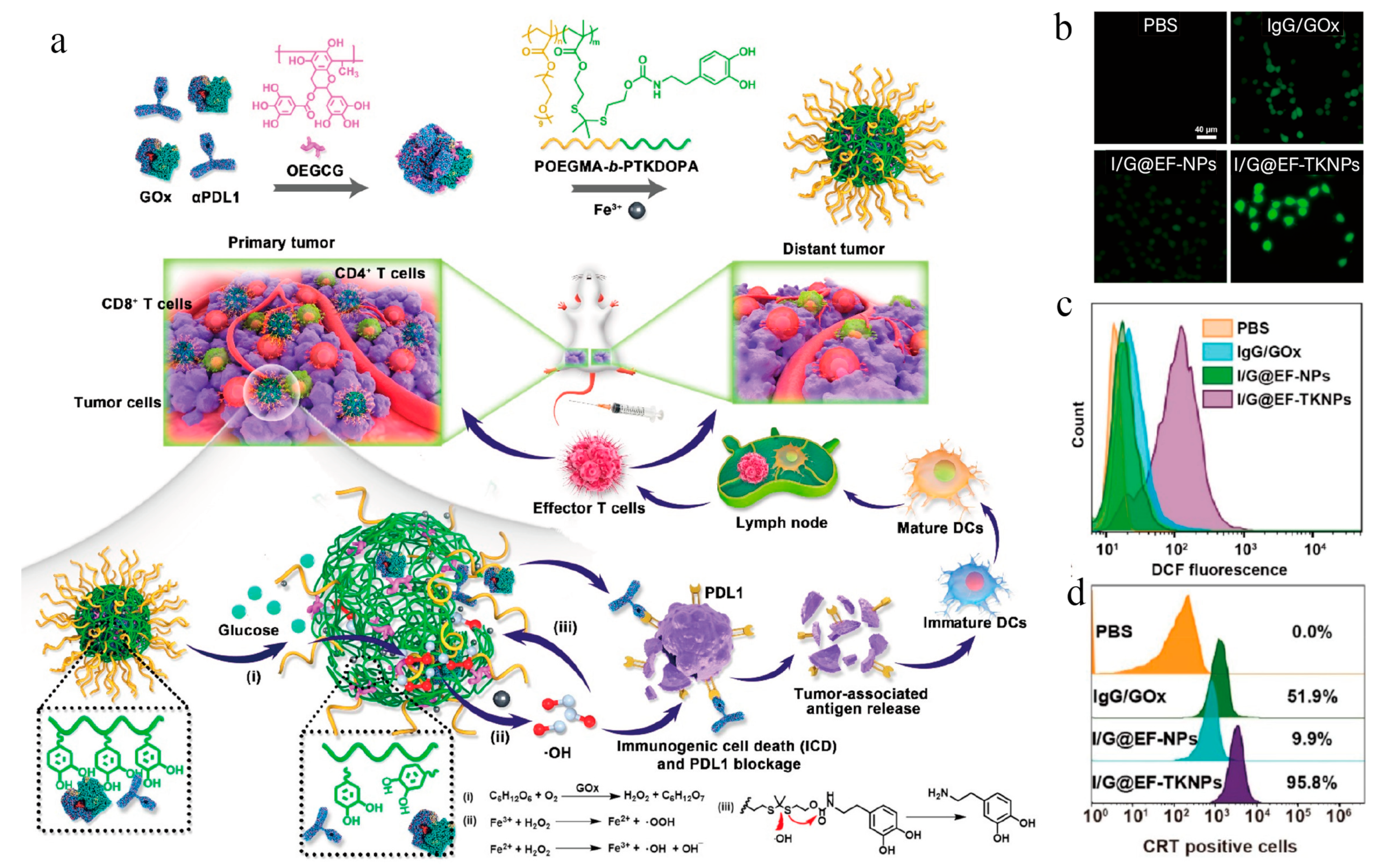 Vaccines 11 01440 g006