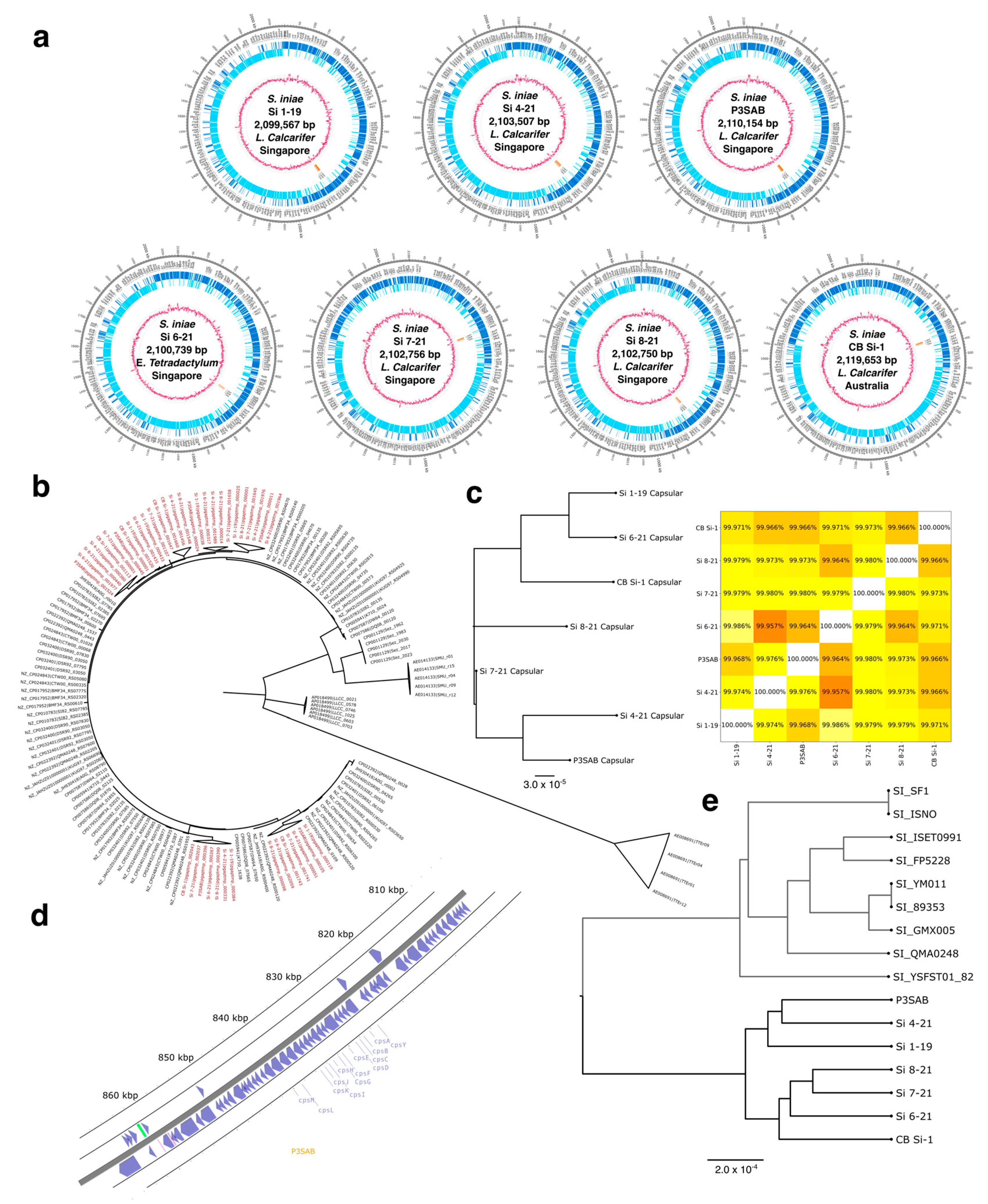 Vaccines 11 01443 g001