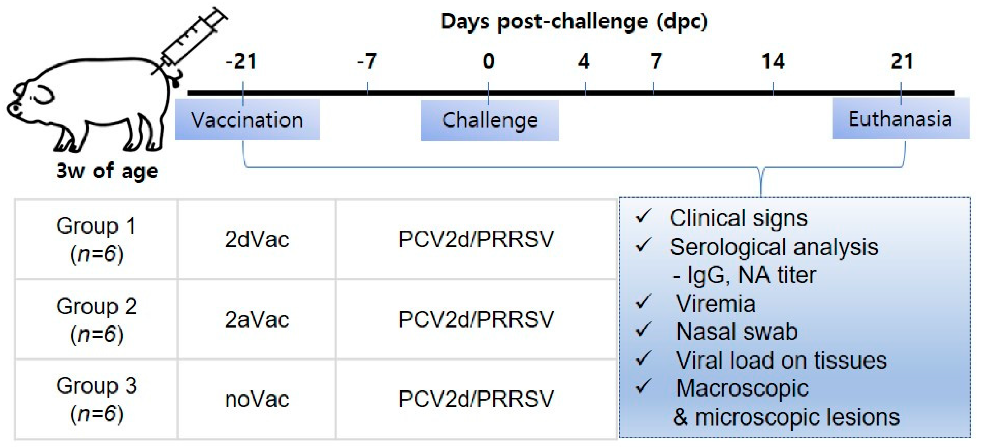 Vaccines 11 01447 g001
