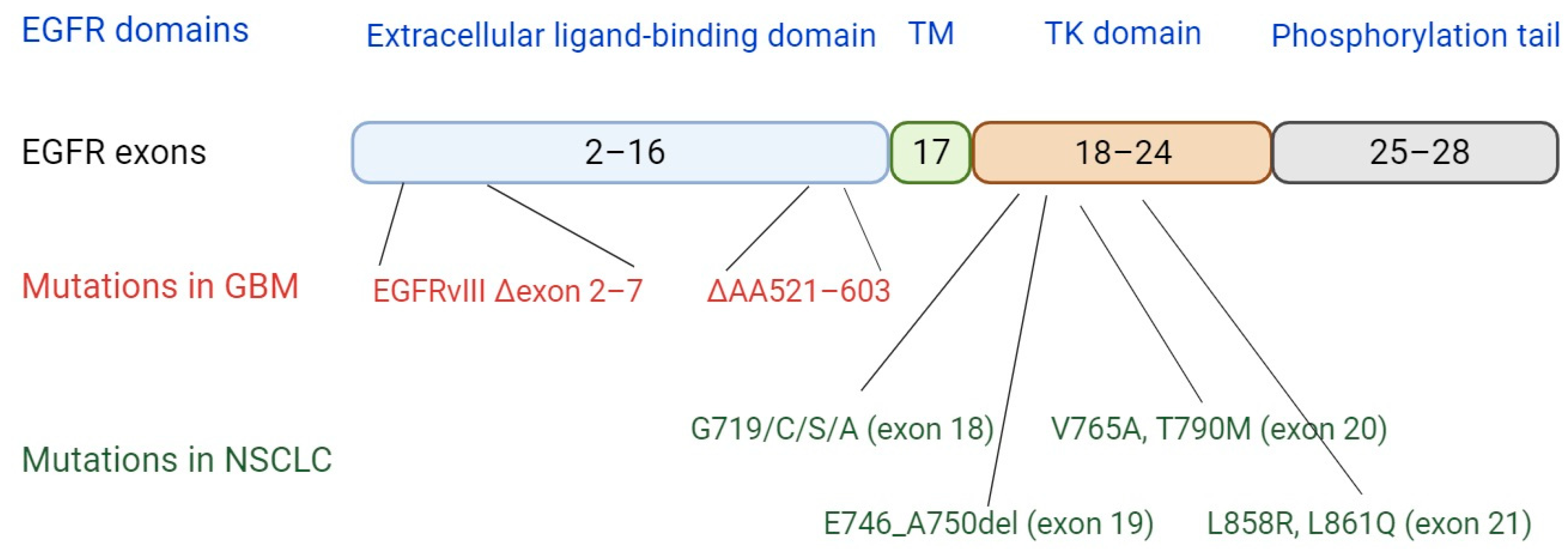 Vaccines 11 01460 g002