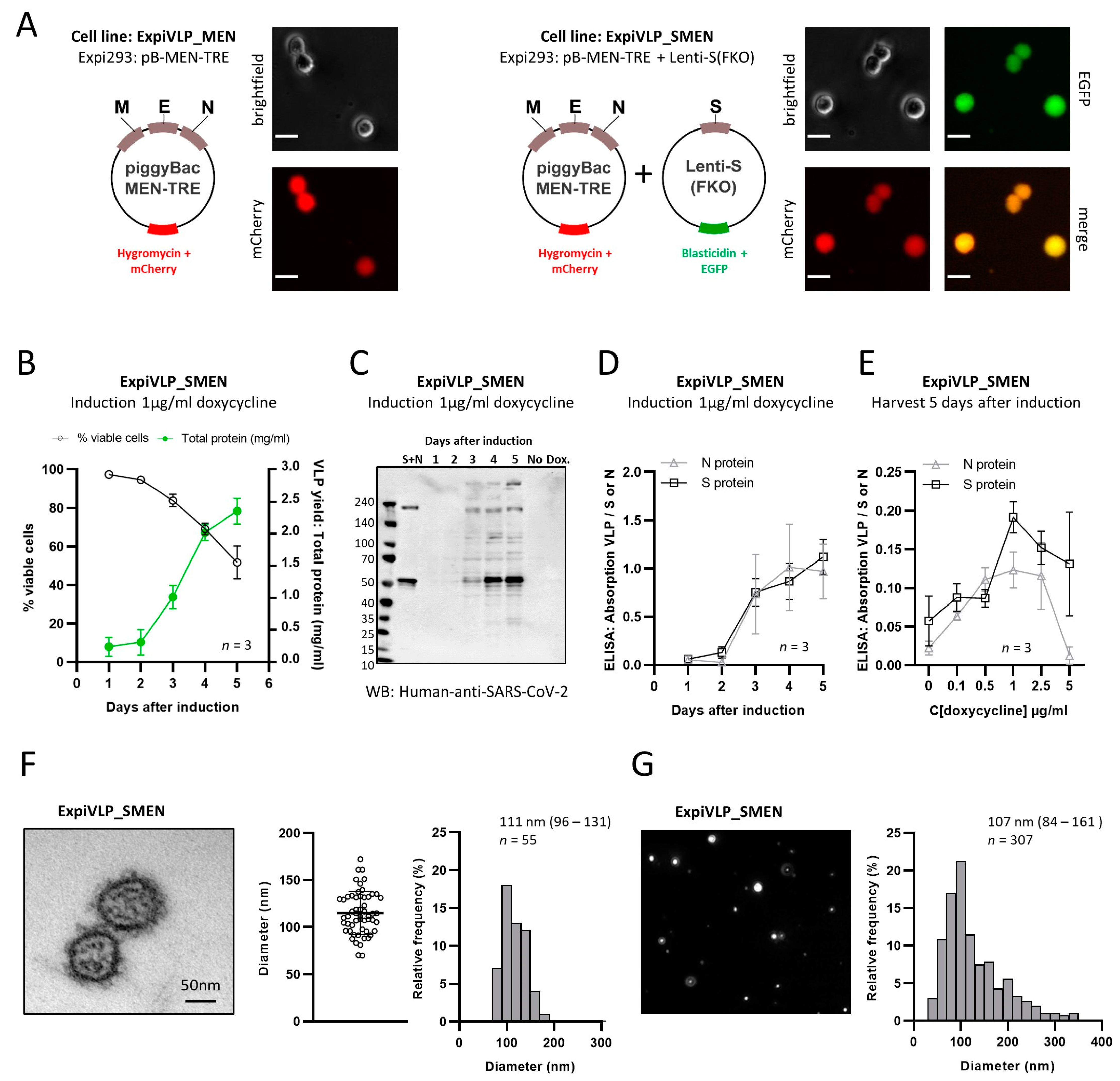 Vaccines 11 01469 g001