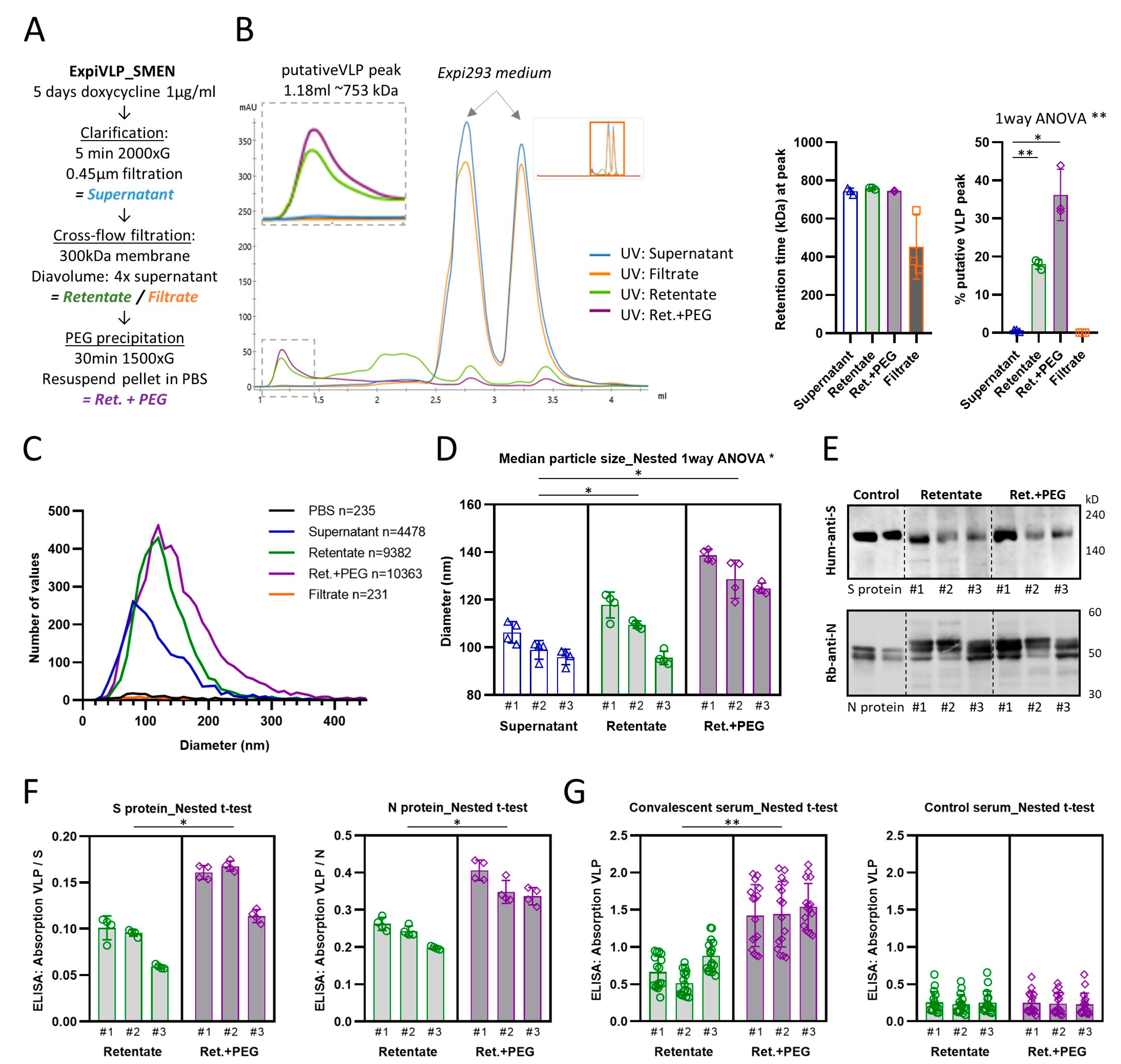 Vaccines 11 01469 g003
