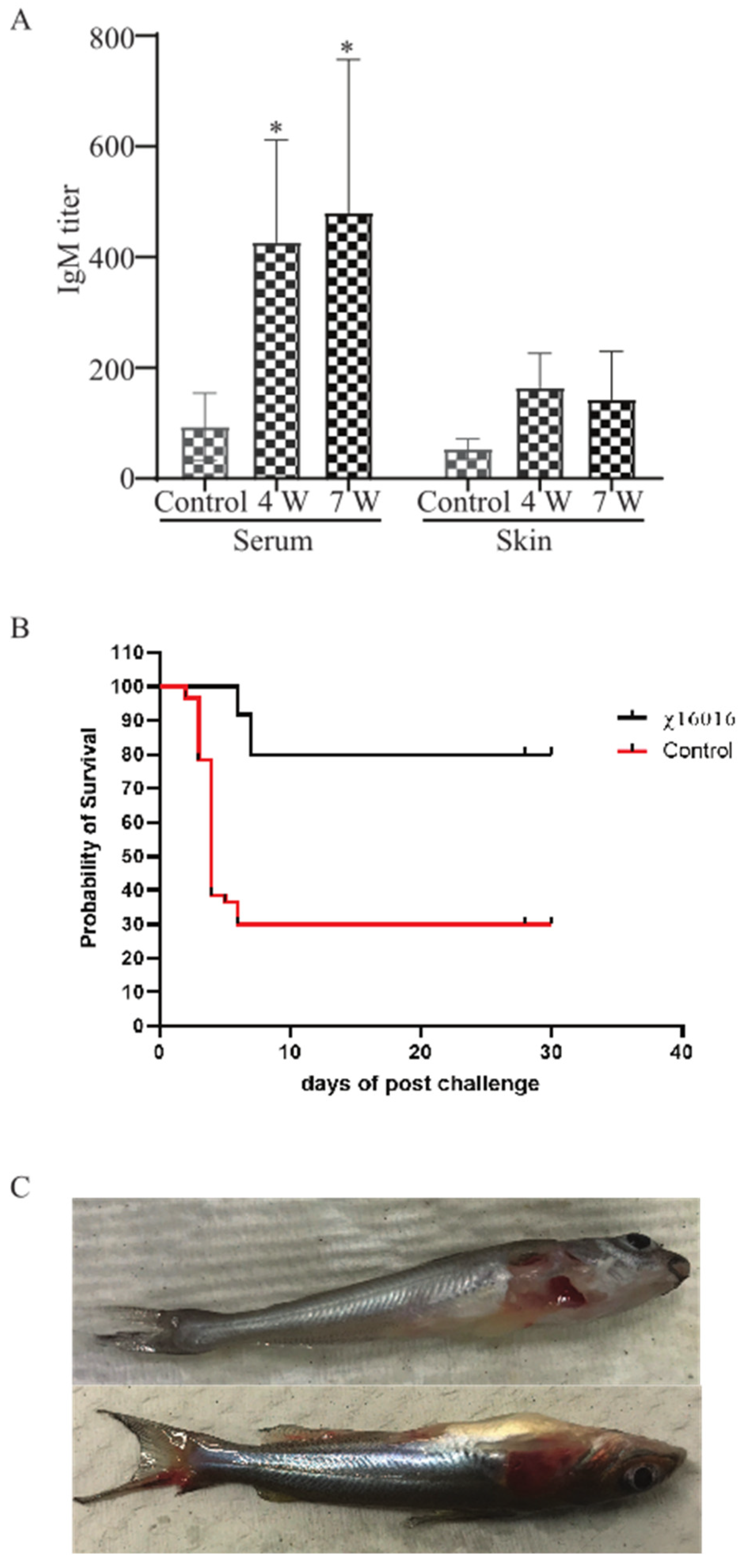 Vaccines 11 01470 g009