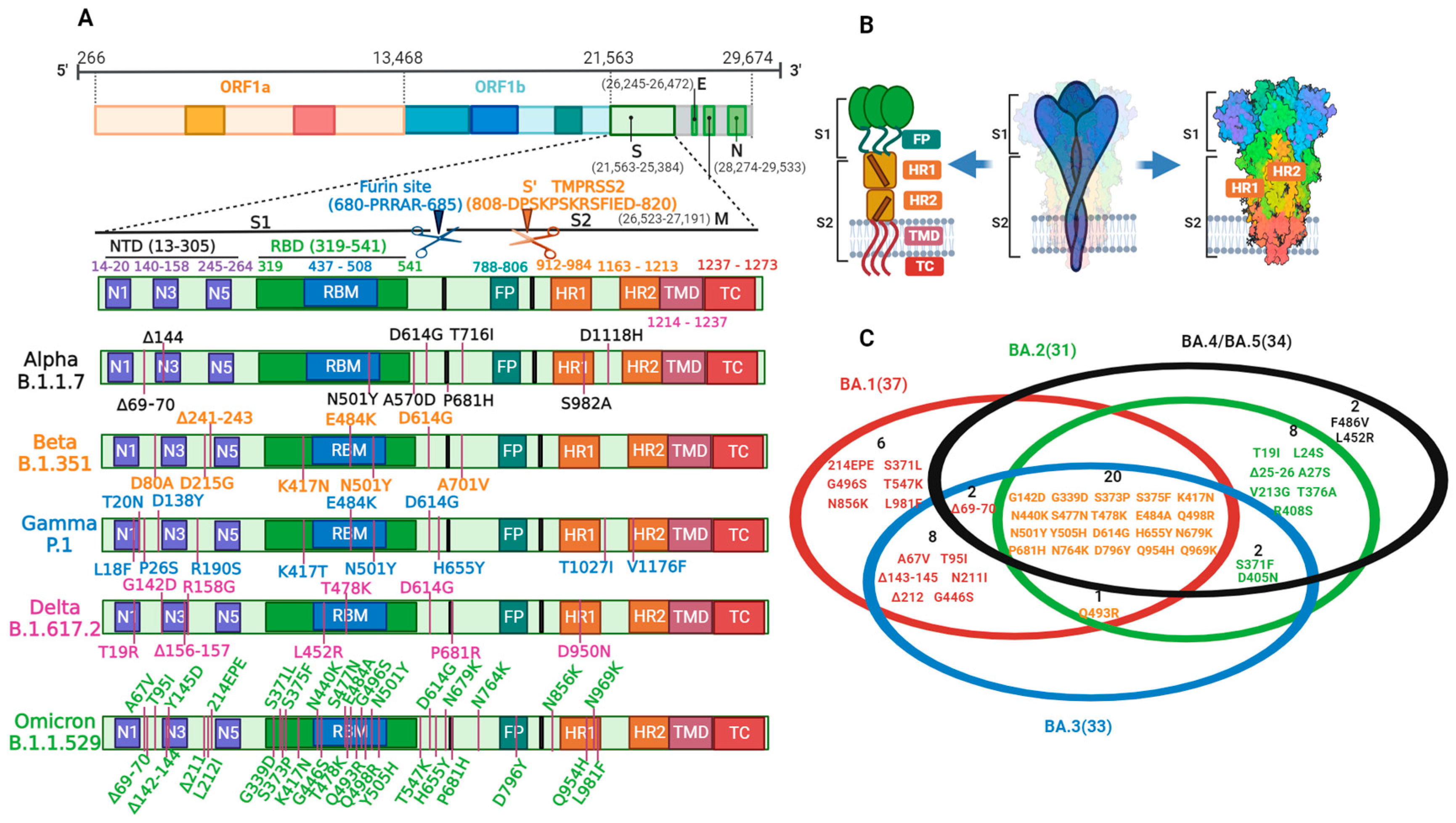 Vaccines 11 01472 g001