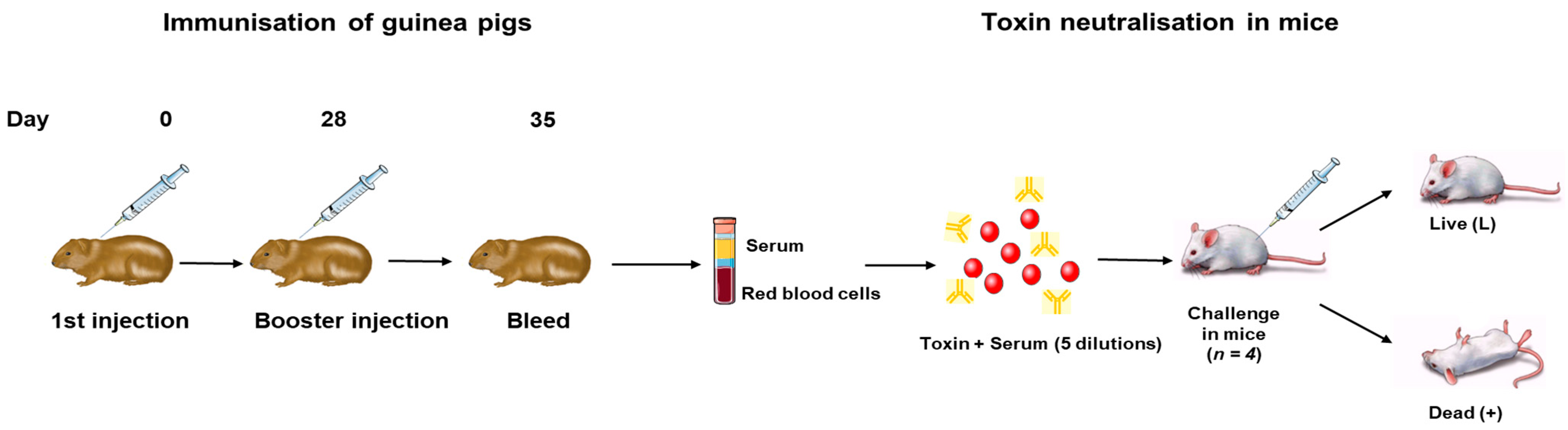 Vaccines 11 01473 g001