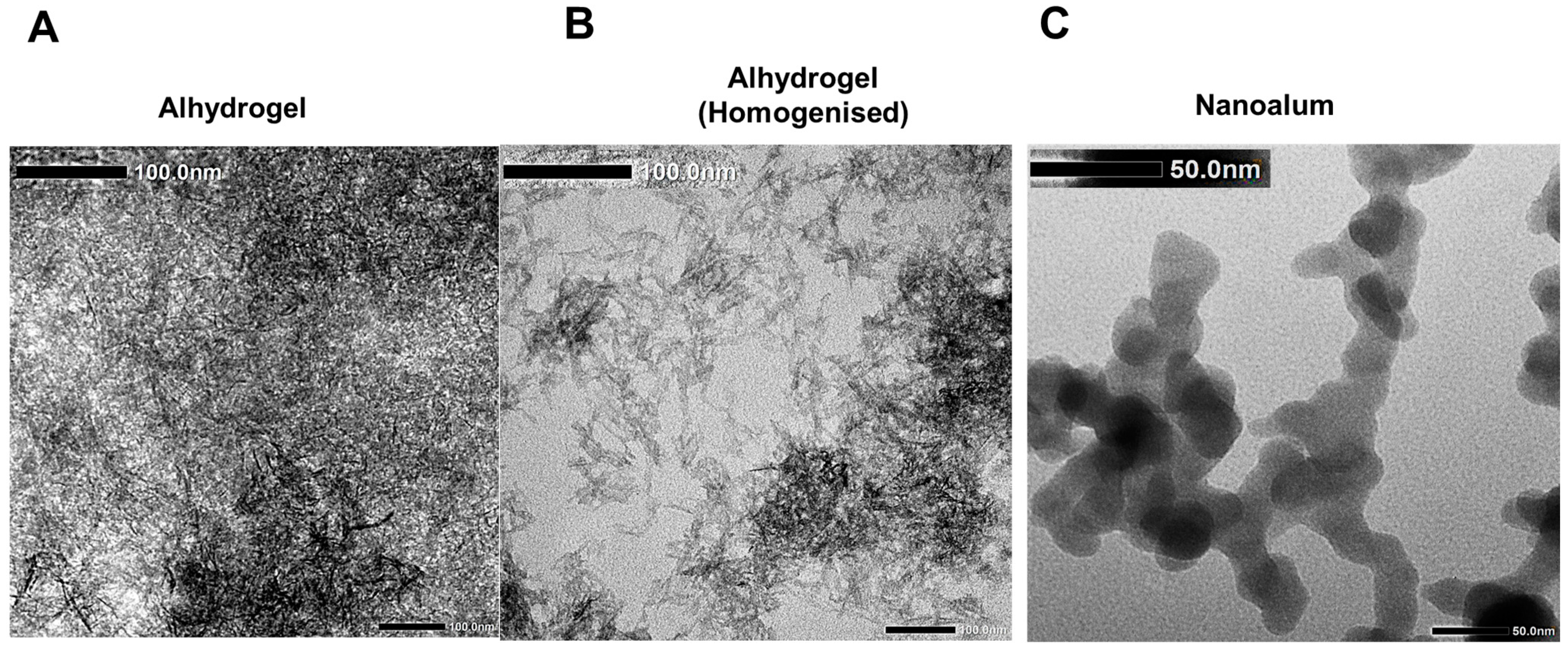 Vaccines 11 01473 g002